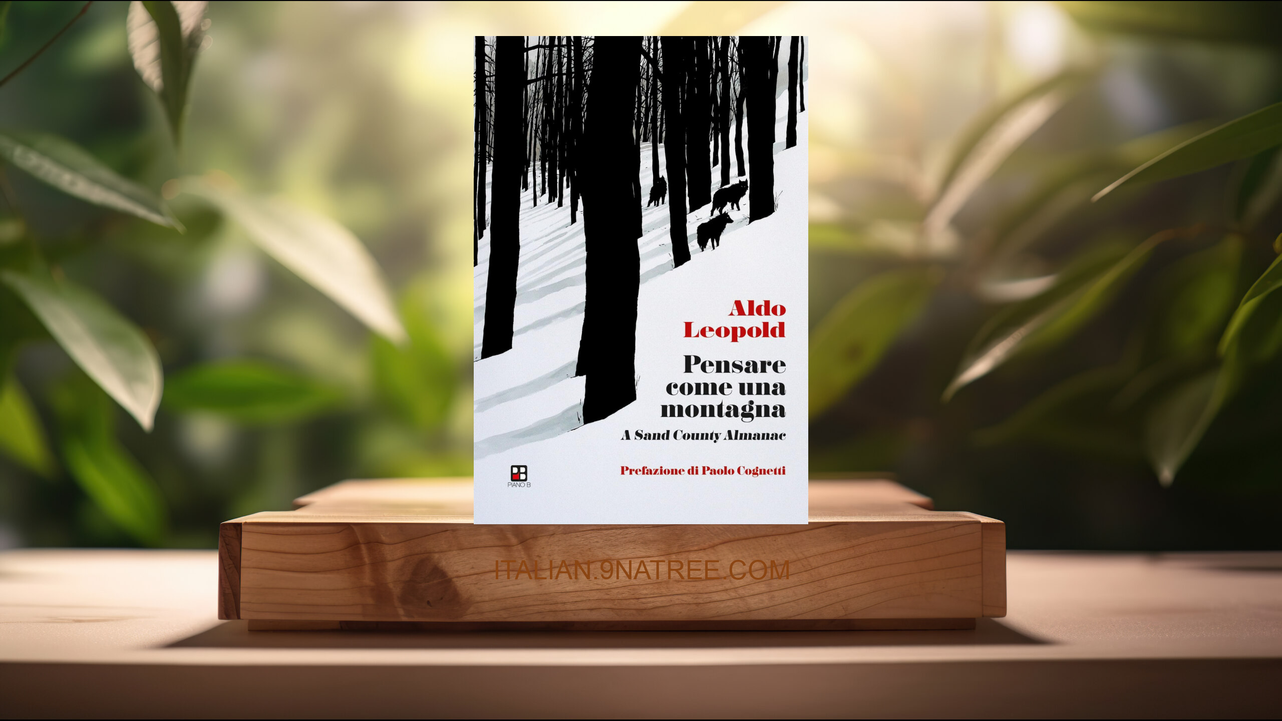 [Recensione] Pensare come una montagna. A sand county almanac (Aldo Leopold) Riassunto.