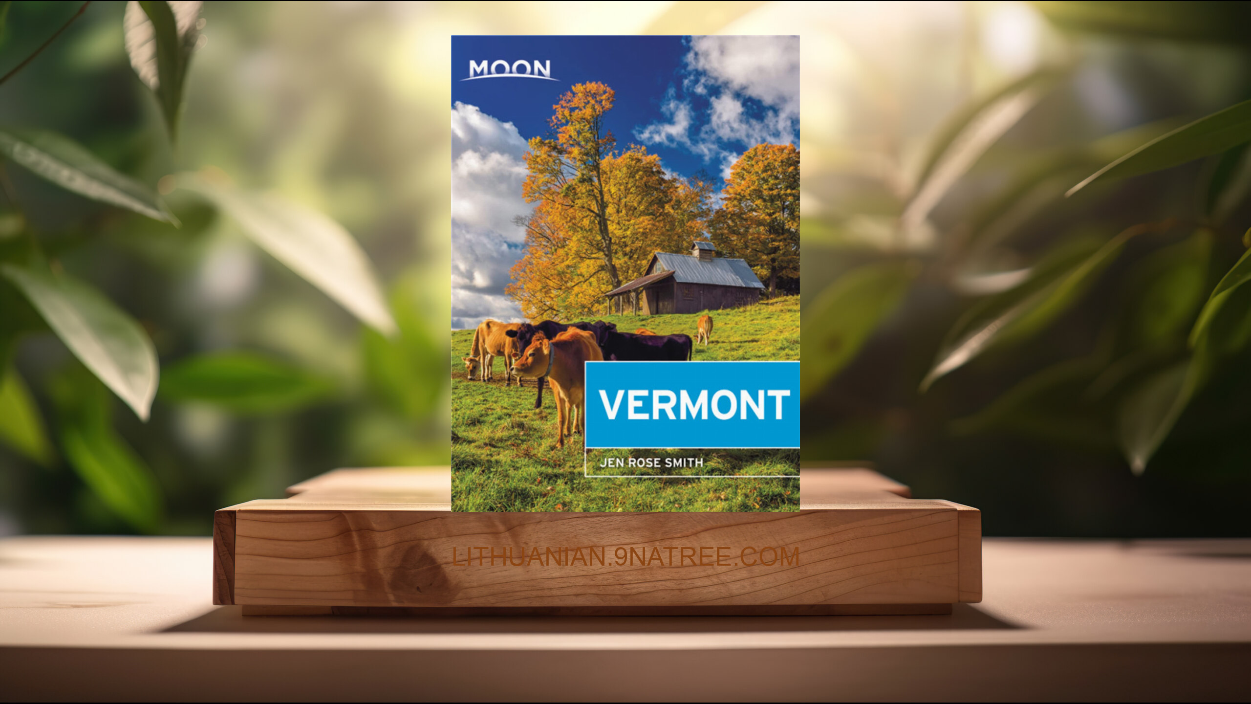 [Apžvalga] Moon Vermont  (Jen Rose Smith) Apibendrinta.