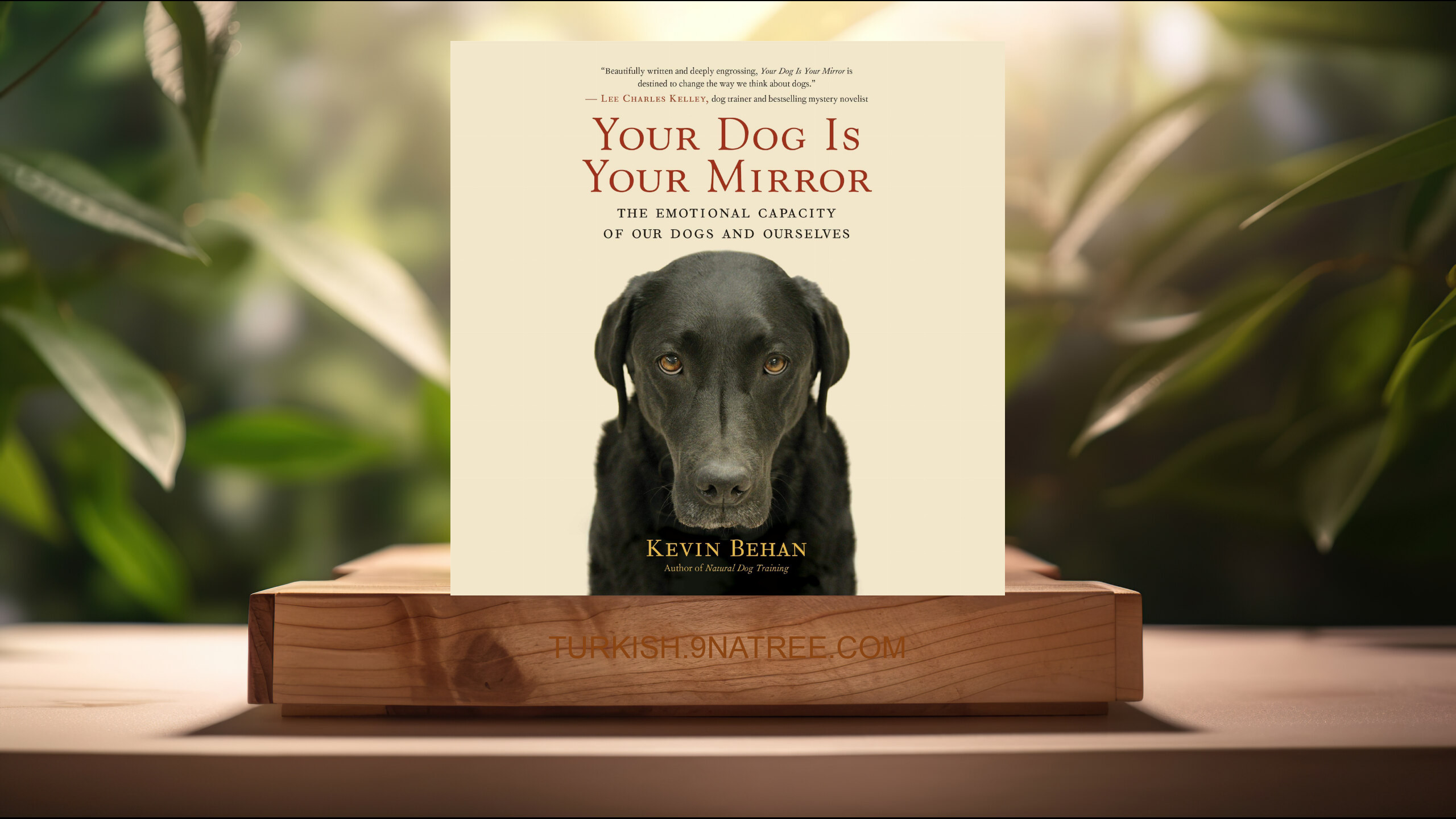 [İncelemesi] Your Dog Is Your Mirror (Kevin Behan) Özeti.