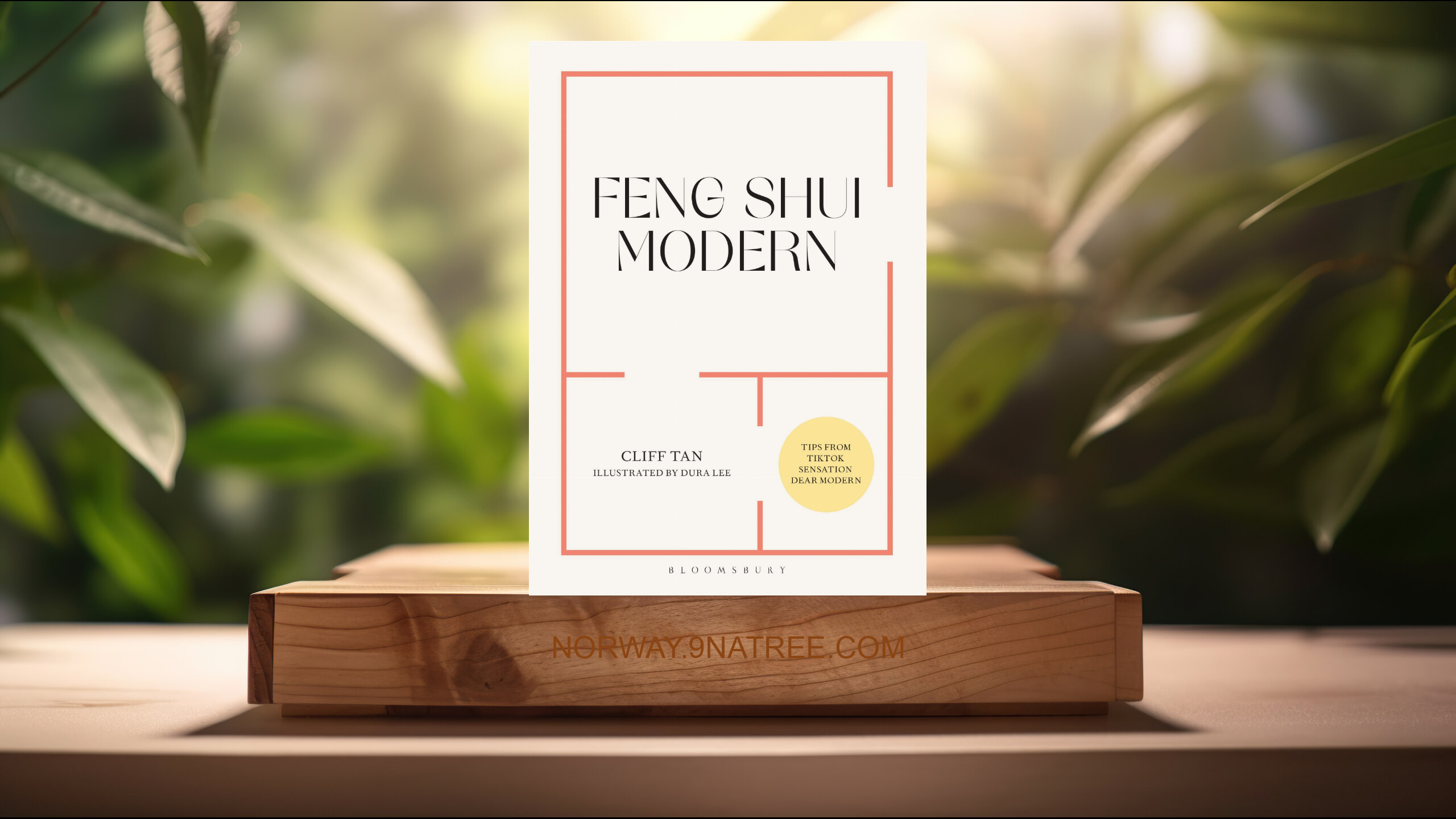 [Anmeldelse] Feng Shui Modern (Cliff Tan) Oppsummert.