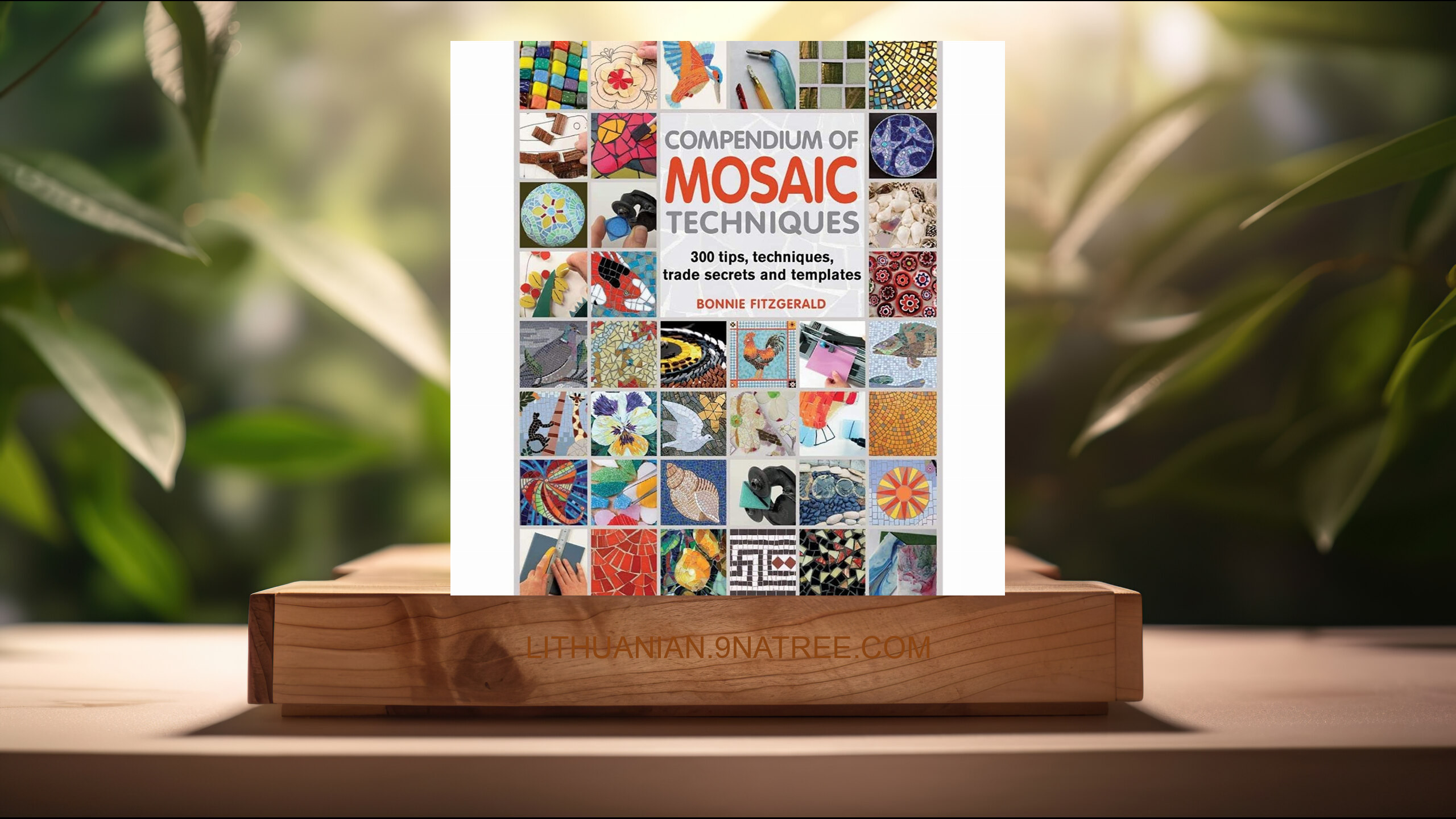 [Apžvalga] Compendium of Mosaic Techniques (Bonnie Fitzgerald) Apibendrinta.