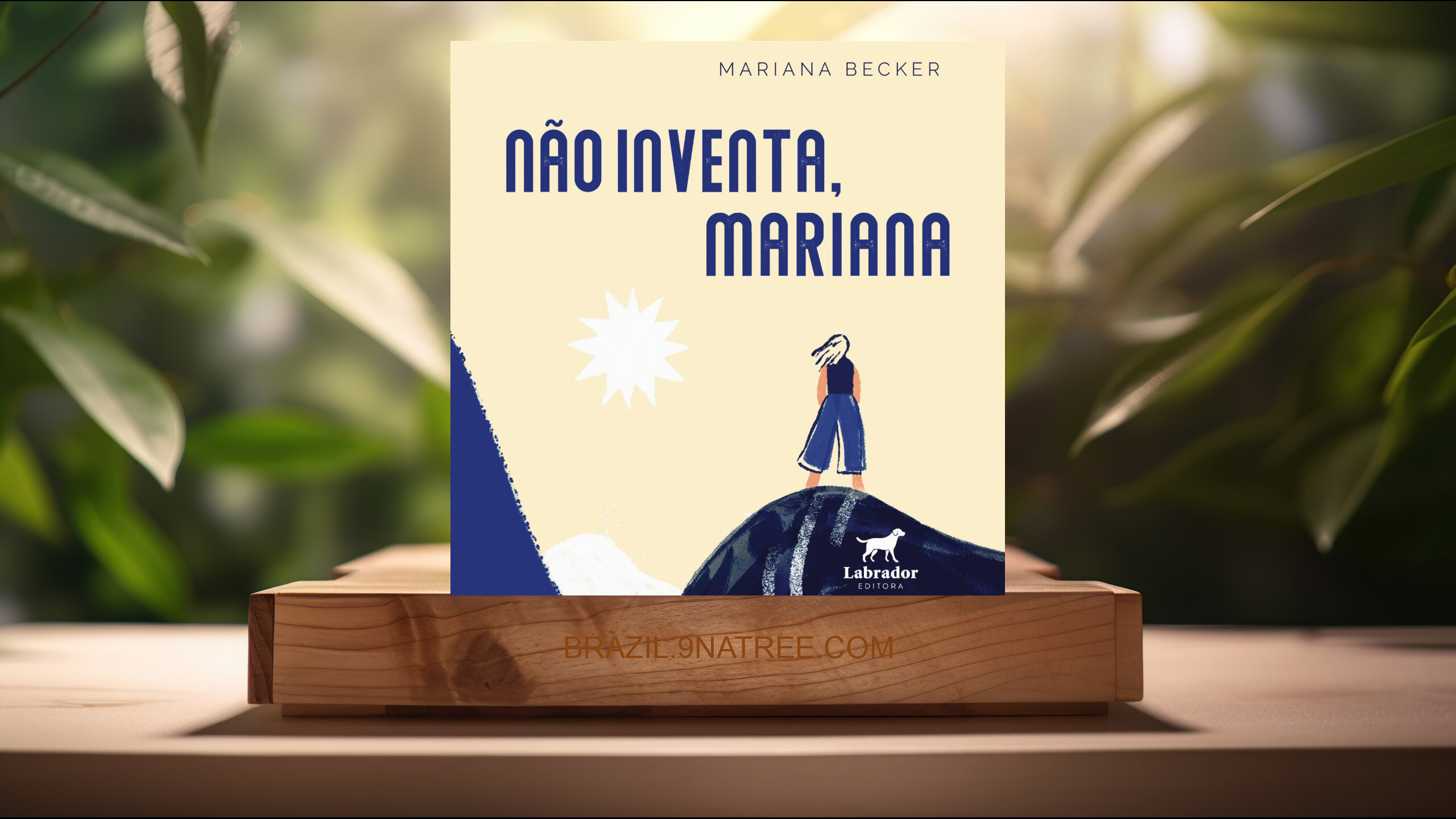 [Análises] Não inventa, Mariana (Mariana Becker) Resumidos.
