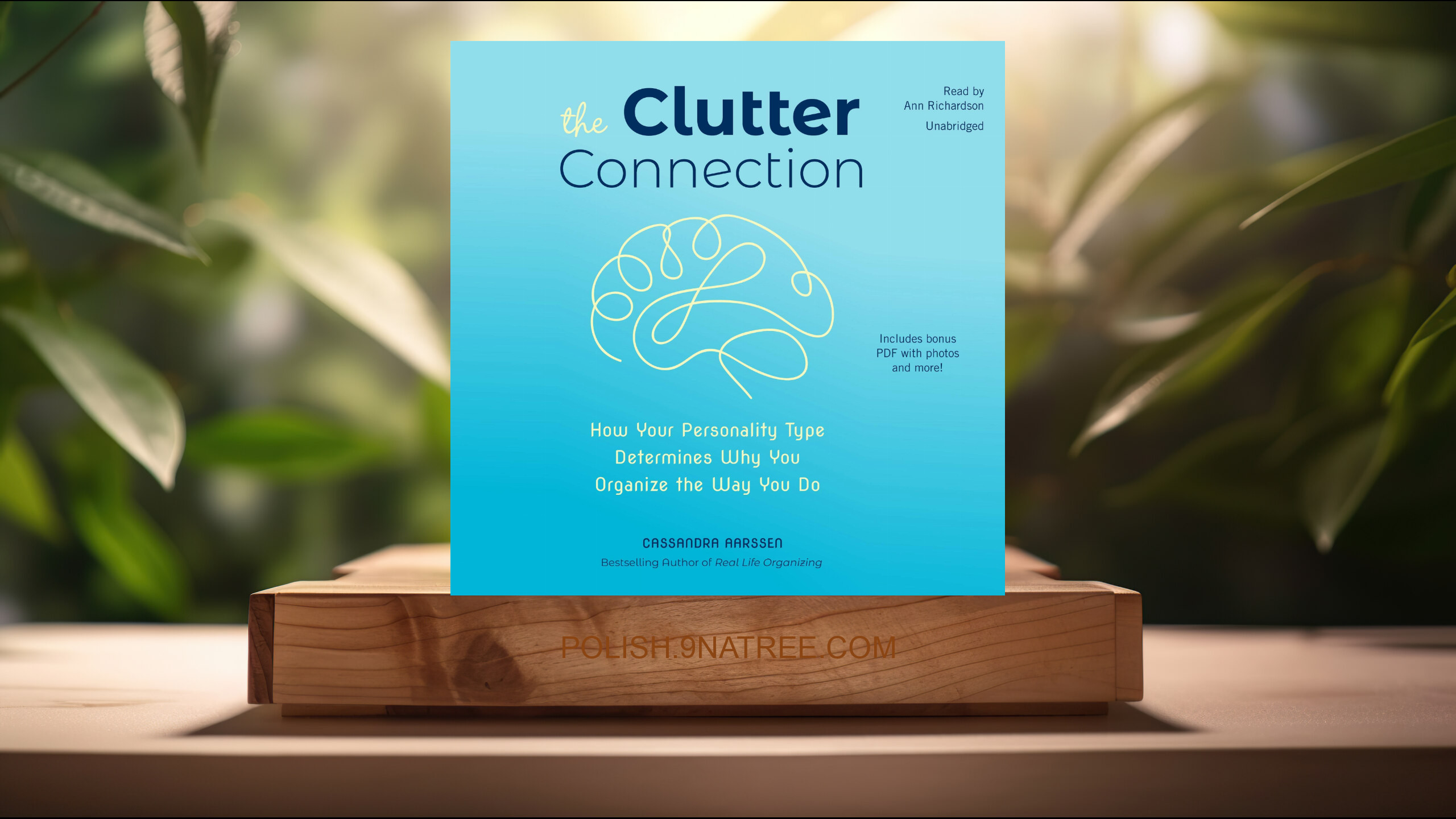 [Recenzja] The Clutter Connection (Cassandra Aarssen) Streszczenie.