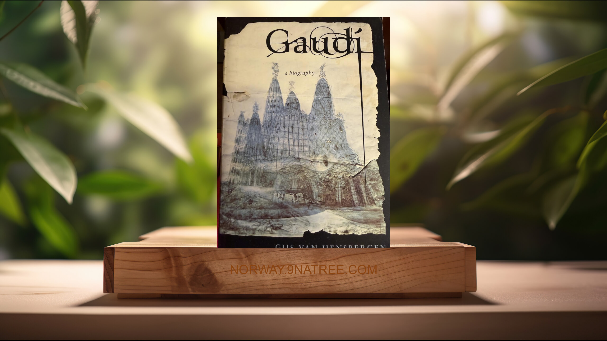 [Anmeldelse] Gaudi (Gijs van Hensbergen) Oppsummert.