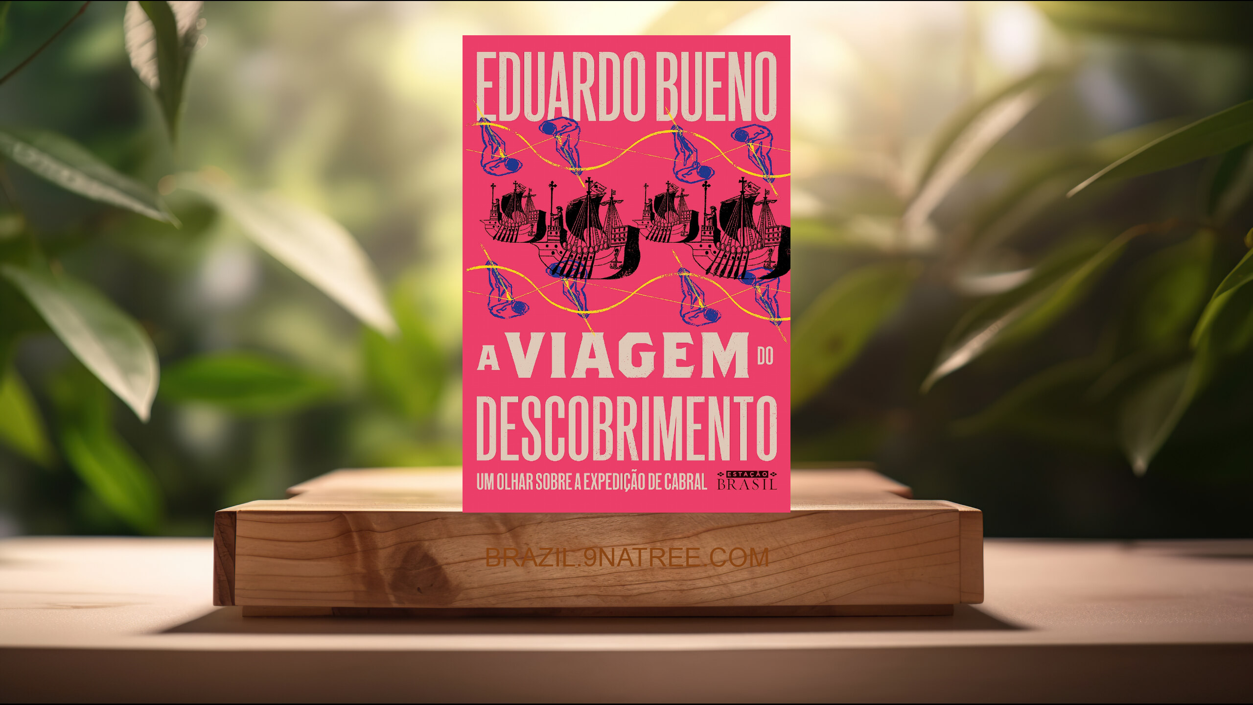 [Análises] A viagem do descobrimento : Um olhar sobre a expedição de Cabral (Eduardo Bueno) Resumidos.