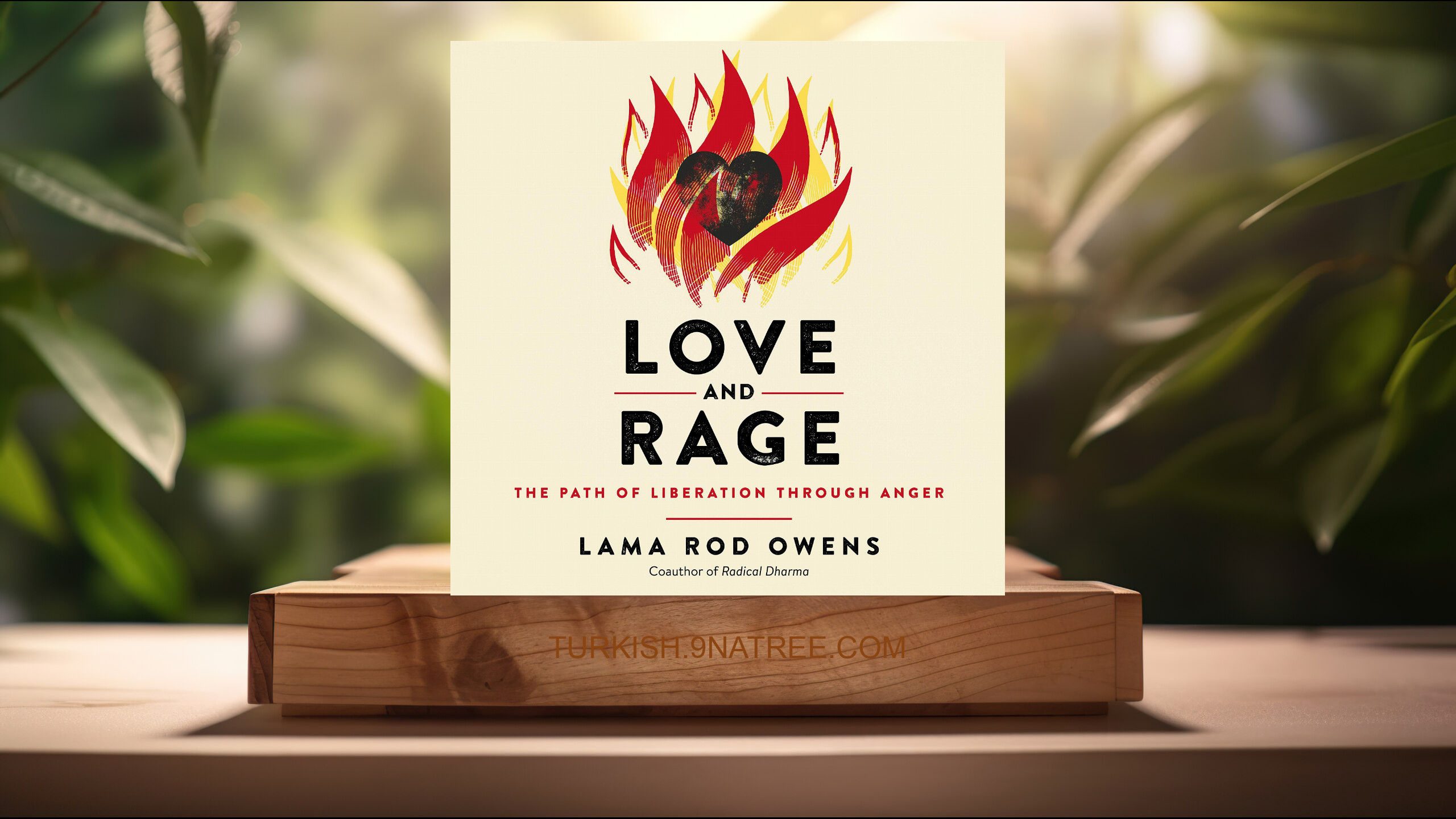 [İncelemesi] Love and Rage: The Path of Liberation through Anger (Lama Rod Owens) Özeti.