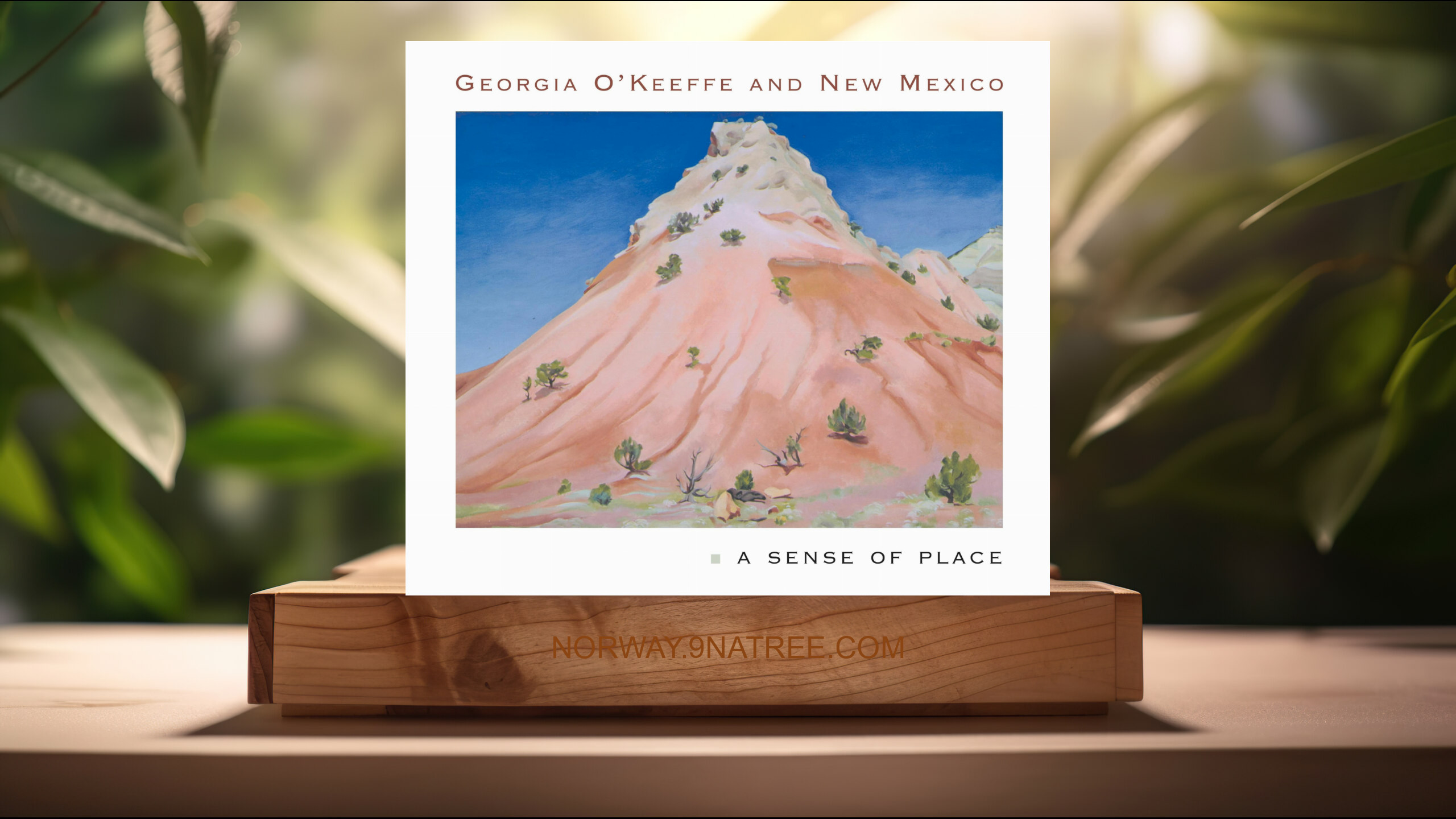 [Anmeldelse] Georgia O'Keeffe and New Mexico: A Sense of Place (Barbara Buhler Lynes) Oppsummert.