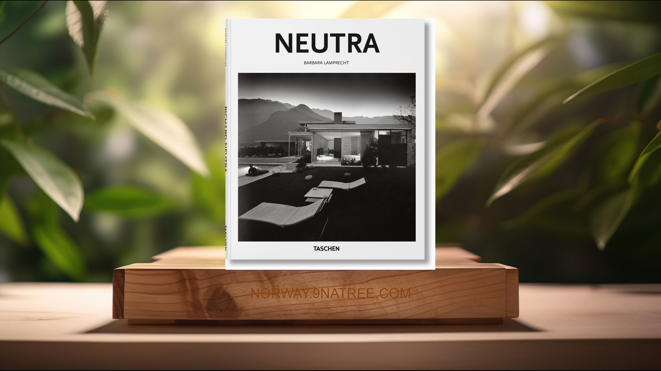[Anmeldelse] Neutra  (Barbara Lamprecht) Oppsummert.