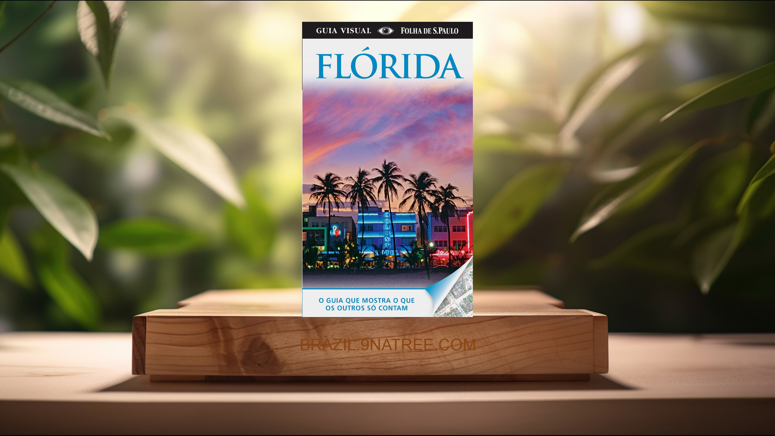 [Análises] Florida - Guia Visual (Dorling Kindersley) Resumidos.