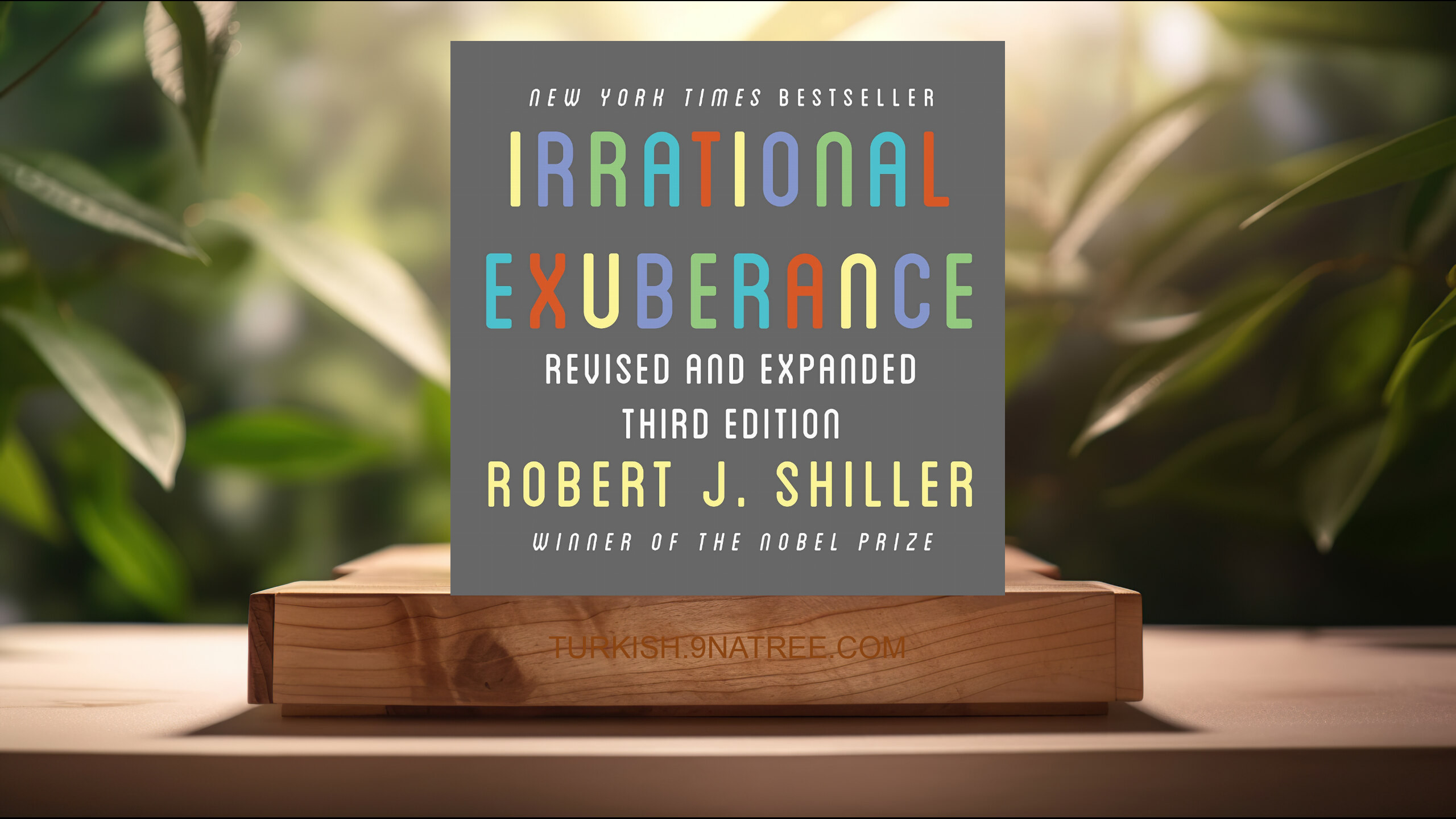 [İncelemesi] Irrational Exuberance: Revised and Expanded Third Edition (Robert J. Shiller) Özeti.