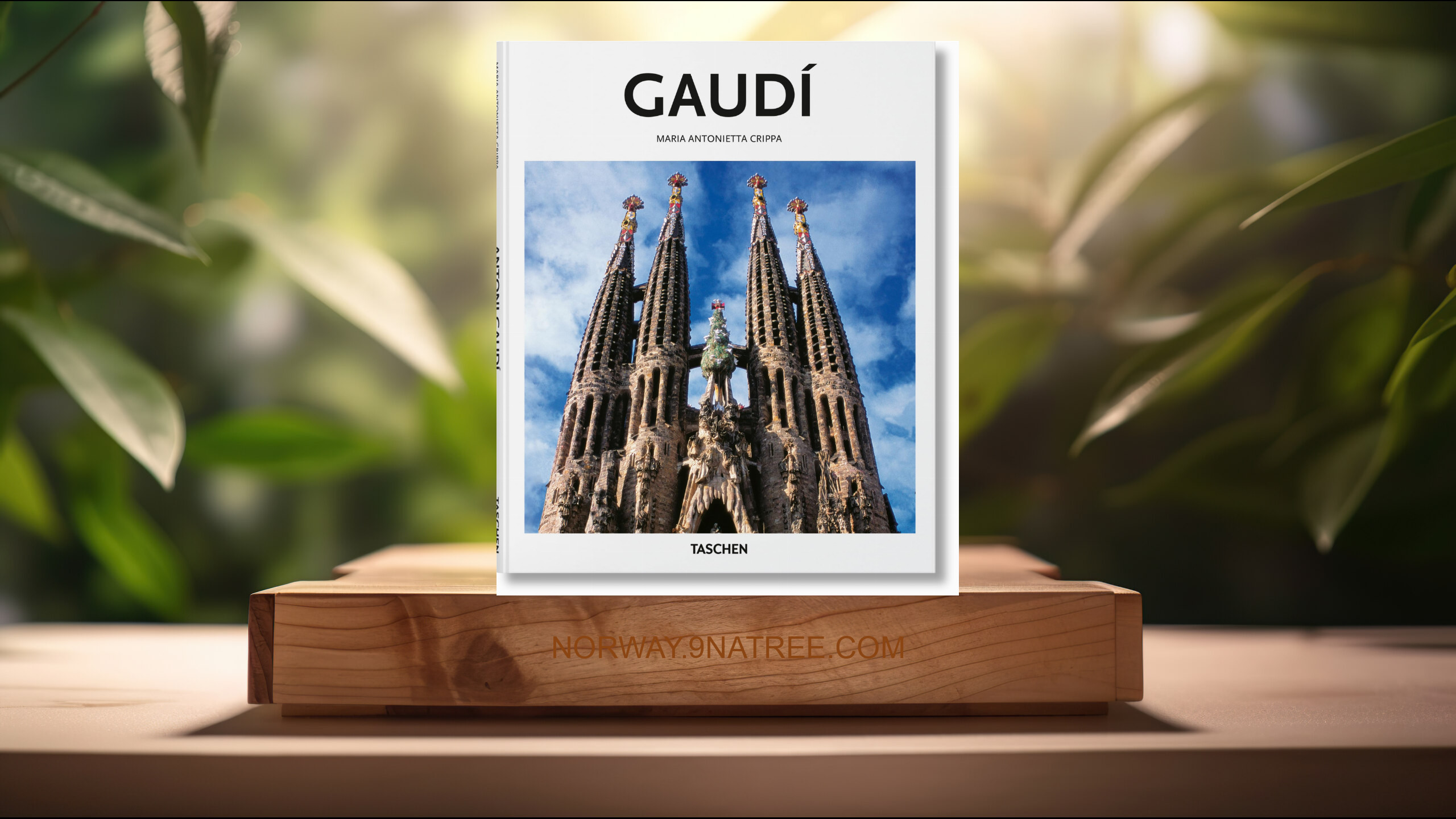 [Anmeldelse] Gaudí (Maria Antonietta Crippa) Oppsummert.