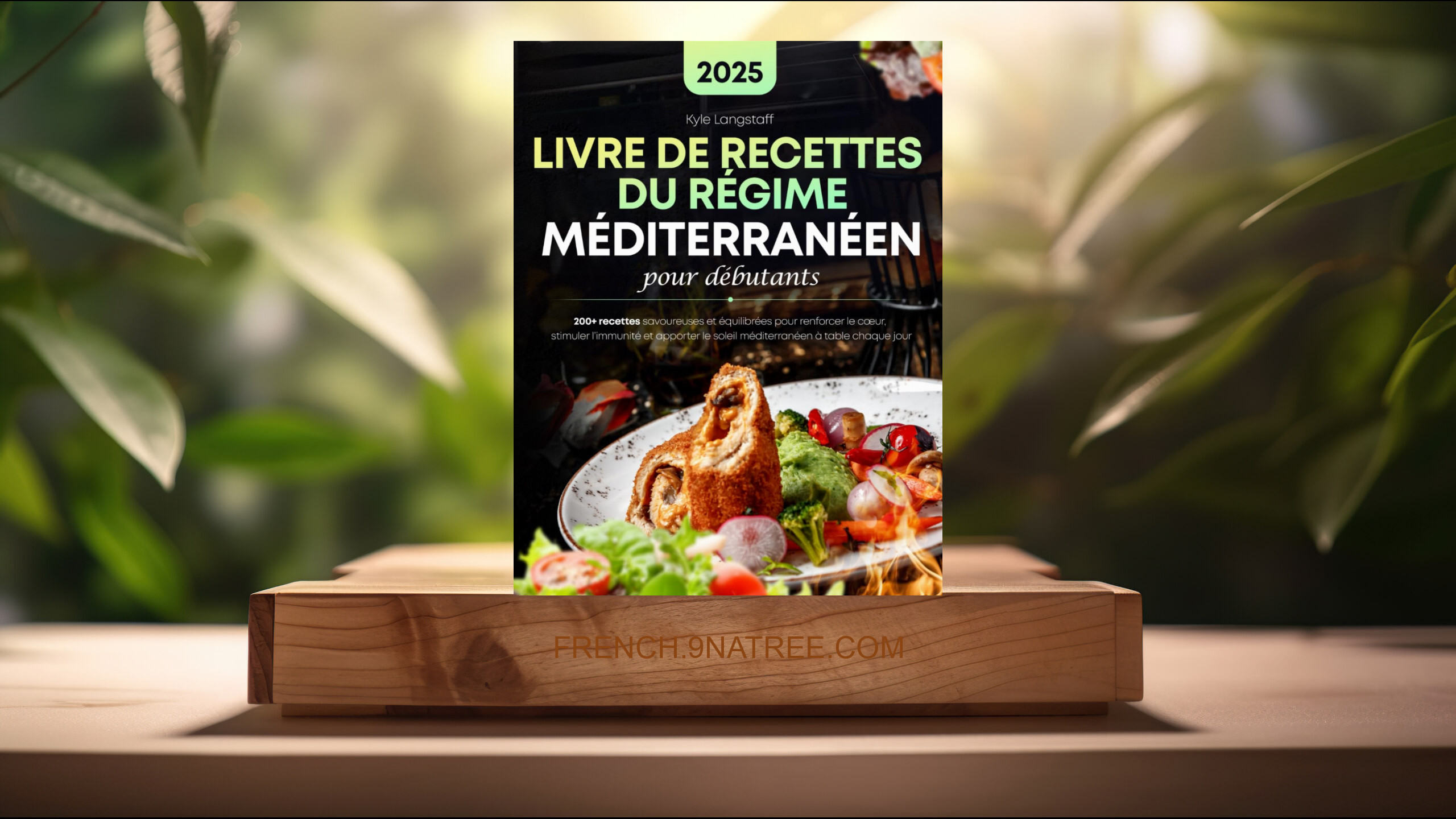 [Critique] Livre De Recettes Du Regime, Méditerranéen Pour Débutants (Kyle Langstaff) Résumé.