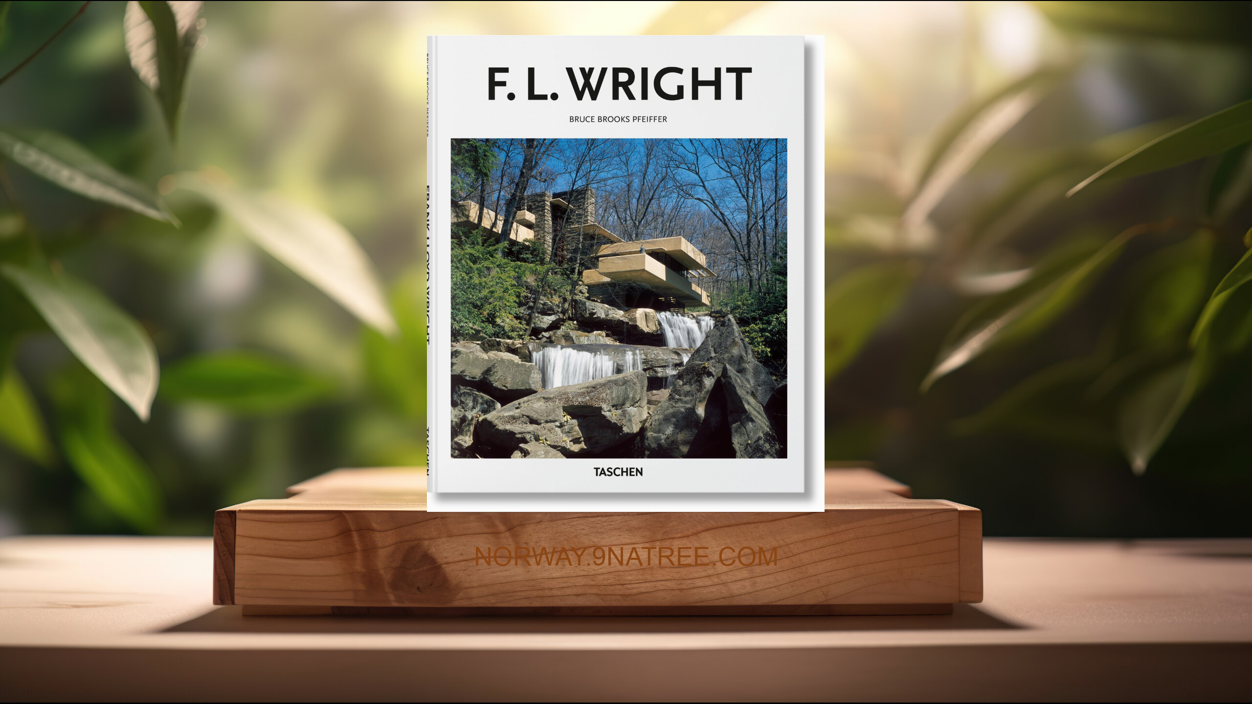 [Anmeldelse] Wright  (Bruce Brooks Pfeiffer) Oppsummert.