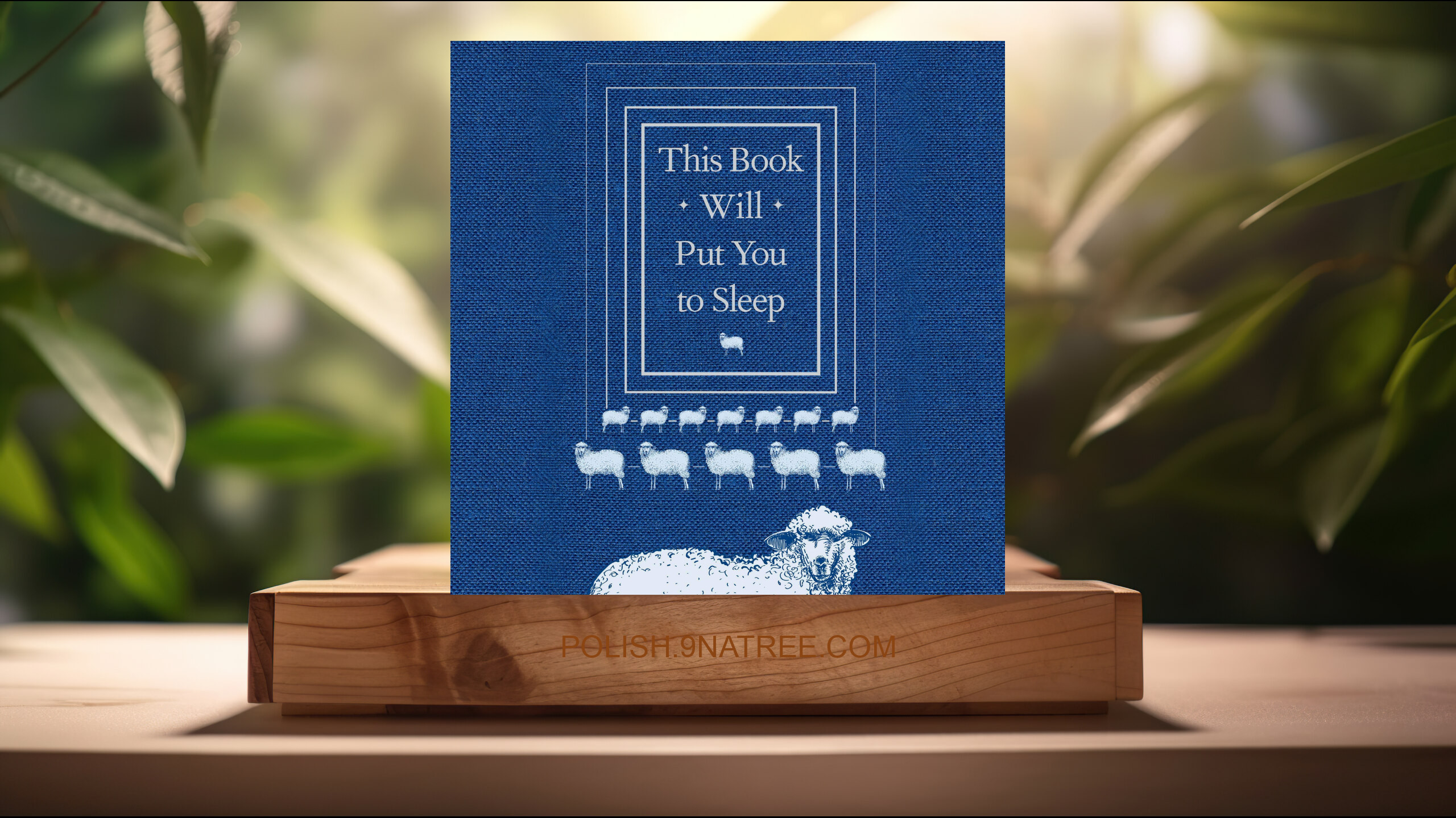 [Recenzja] This Book Will Put You to Sleep (K. McCoy) Streszczenie.