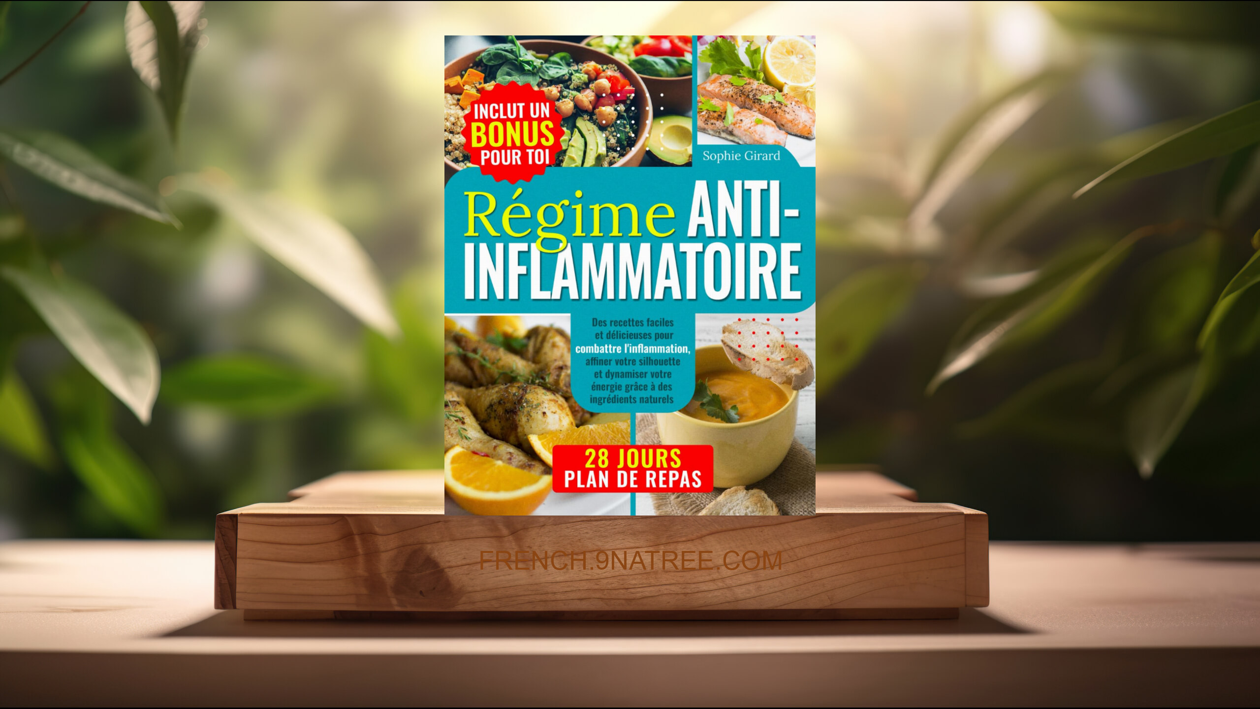 [Critique] Régime Anti-inflammatoire (Sophie Girard) Résumé.