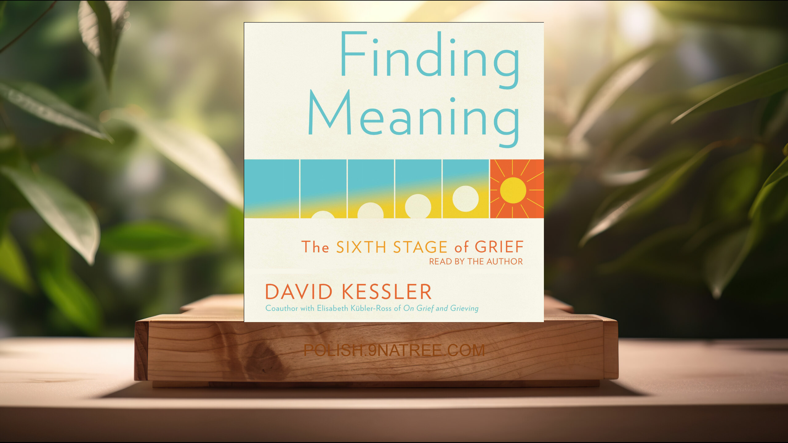 [Recenzja] Finding Meaning: The Sixth Stage of Grief (David Kessler) Streszczenie.