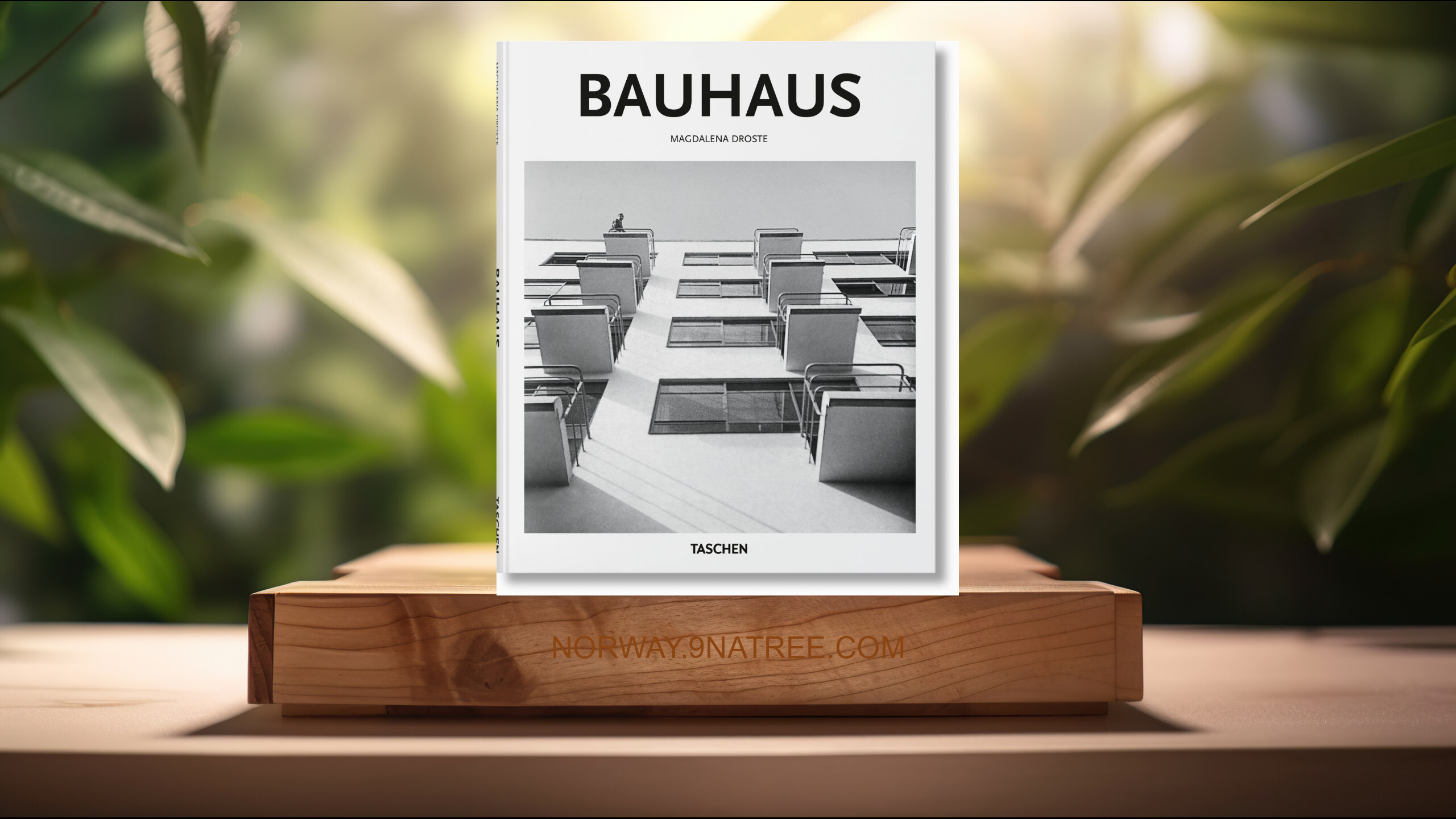 [Anmeldelse] Bauhaus (Magdalena Droste) Oppsummert.