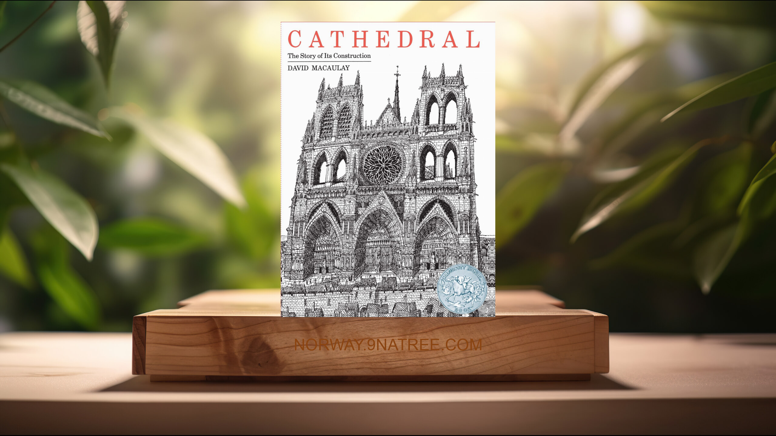 [Anmeldelse] Cathedral: By the Author of The Way Things Work (David Macaulay) Oppsummert.