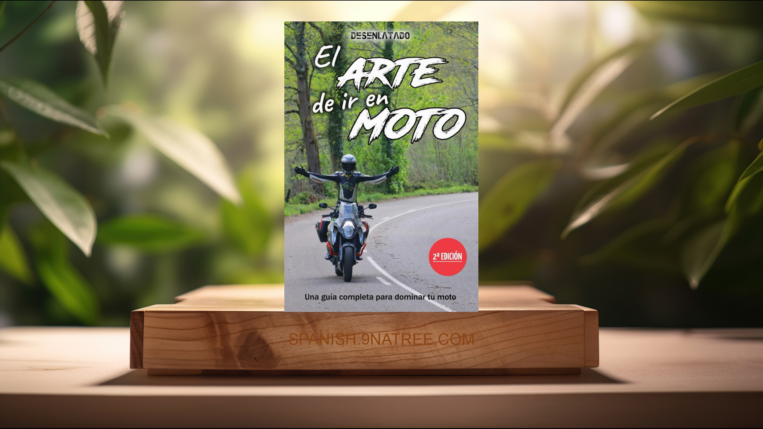 [Reseña] El arte de ir en moto: Una guía completa para dominar tu moto (Pablo Solís Casado) Resumida.
