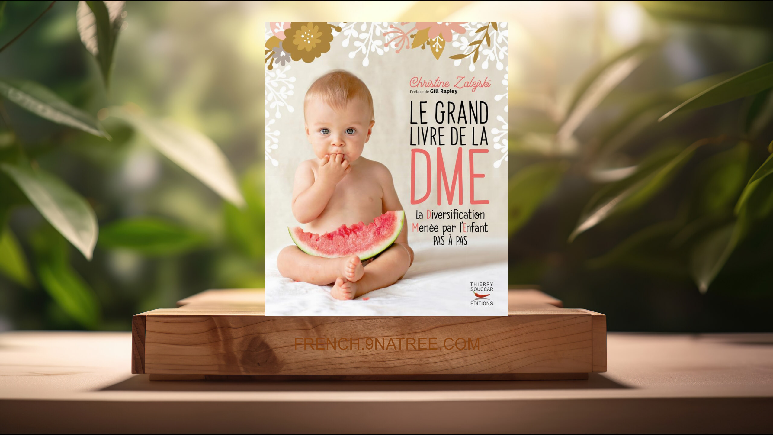 [Critique] Le Grand livre de la DME  (Christine Zalejski) Résumé.
