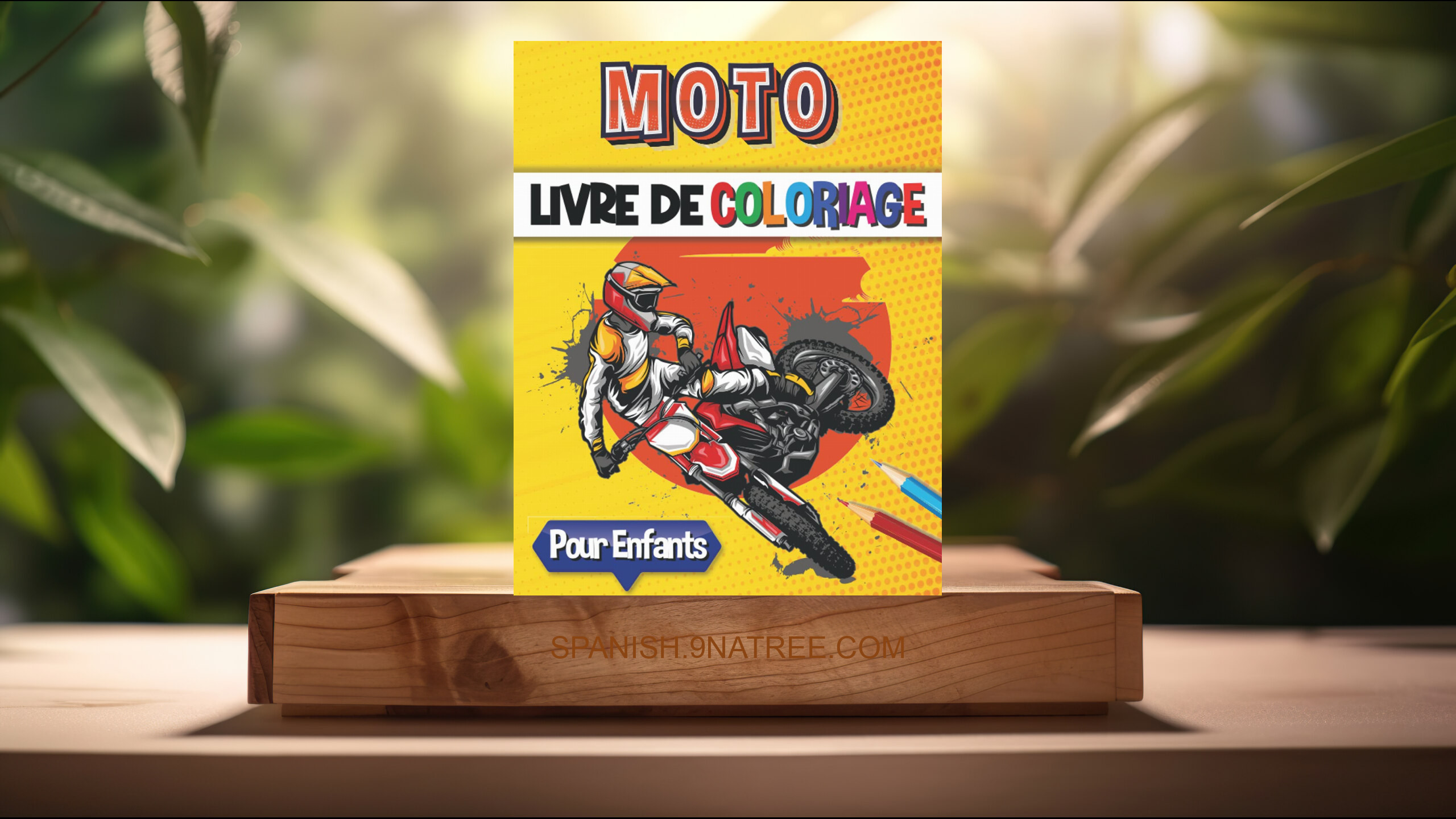 [Reseña] Moto Livre de Coloriage (Blue Saramen) Resumida.