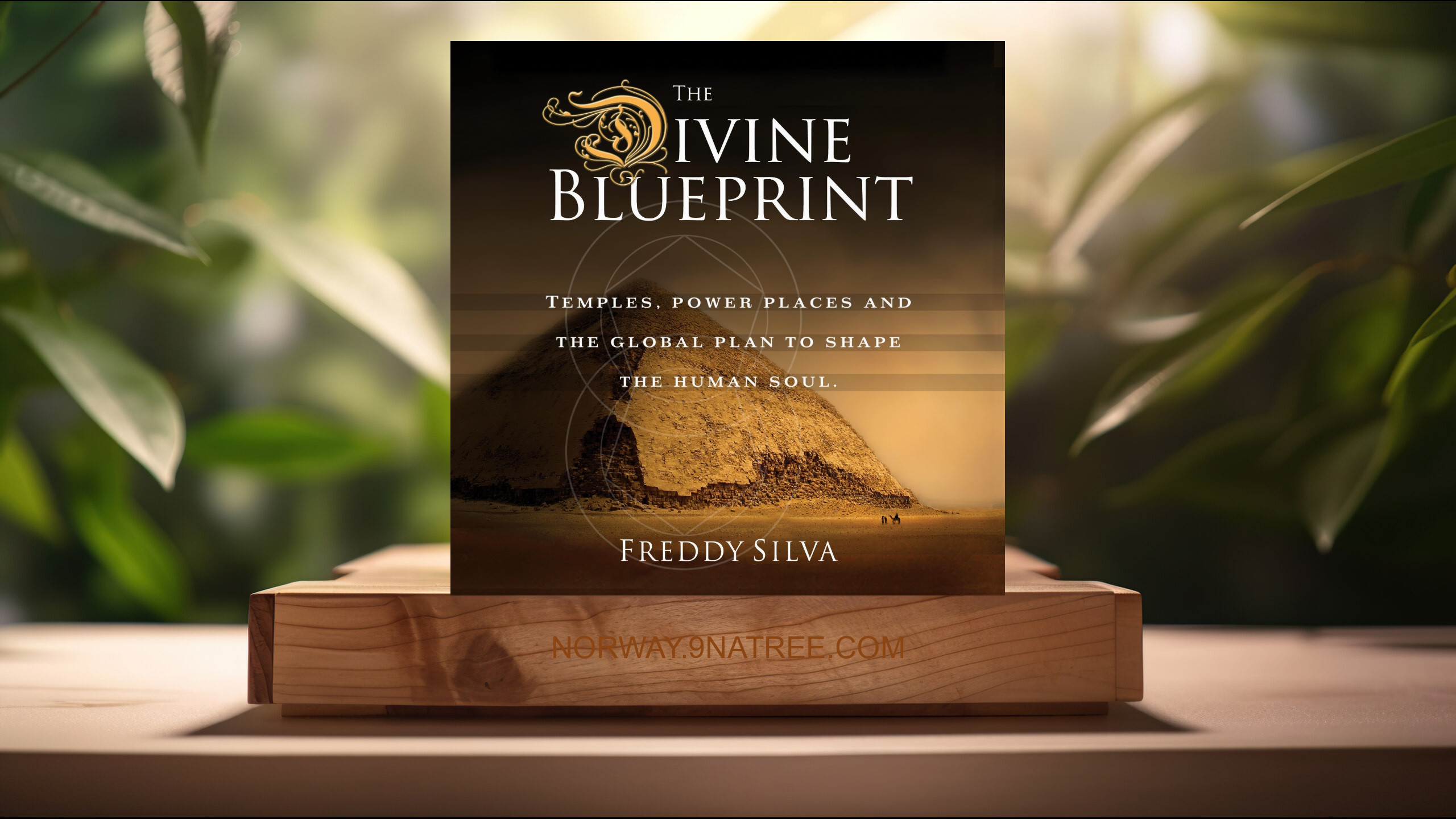 [Anmeldelse] The Divine Blueprint (Freddy Silva) Oppsummert.