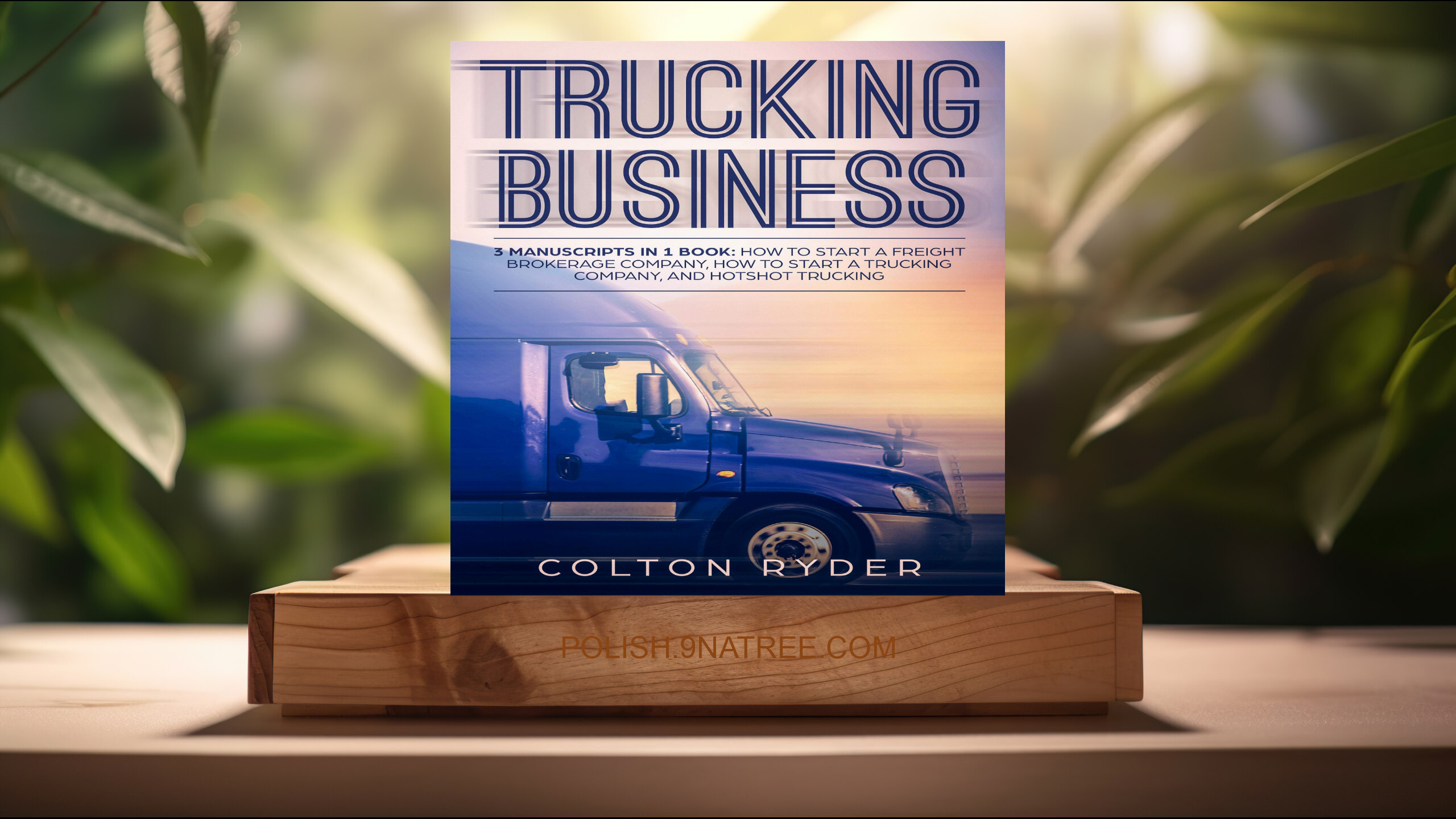 [Recenzja] Trucking Business (Colton Ryder) Streszczenie.