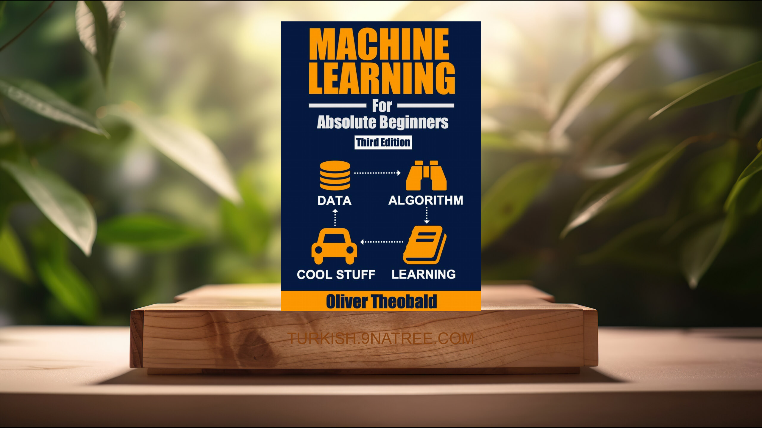 [İncelemesi] Machine Learning for Absolute Beginners (Oliver Theobald) Özeti.