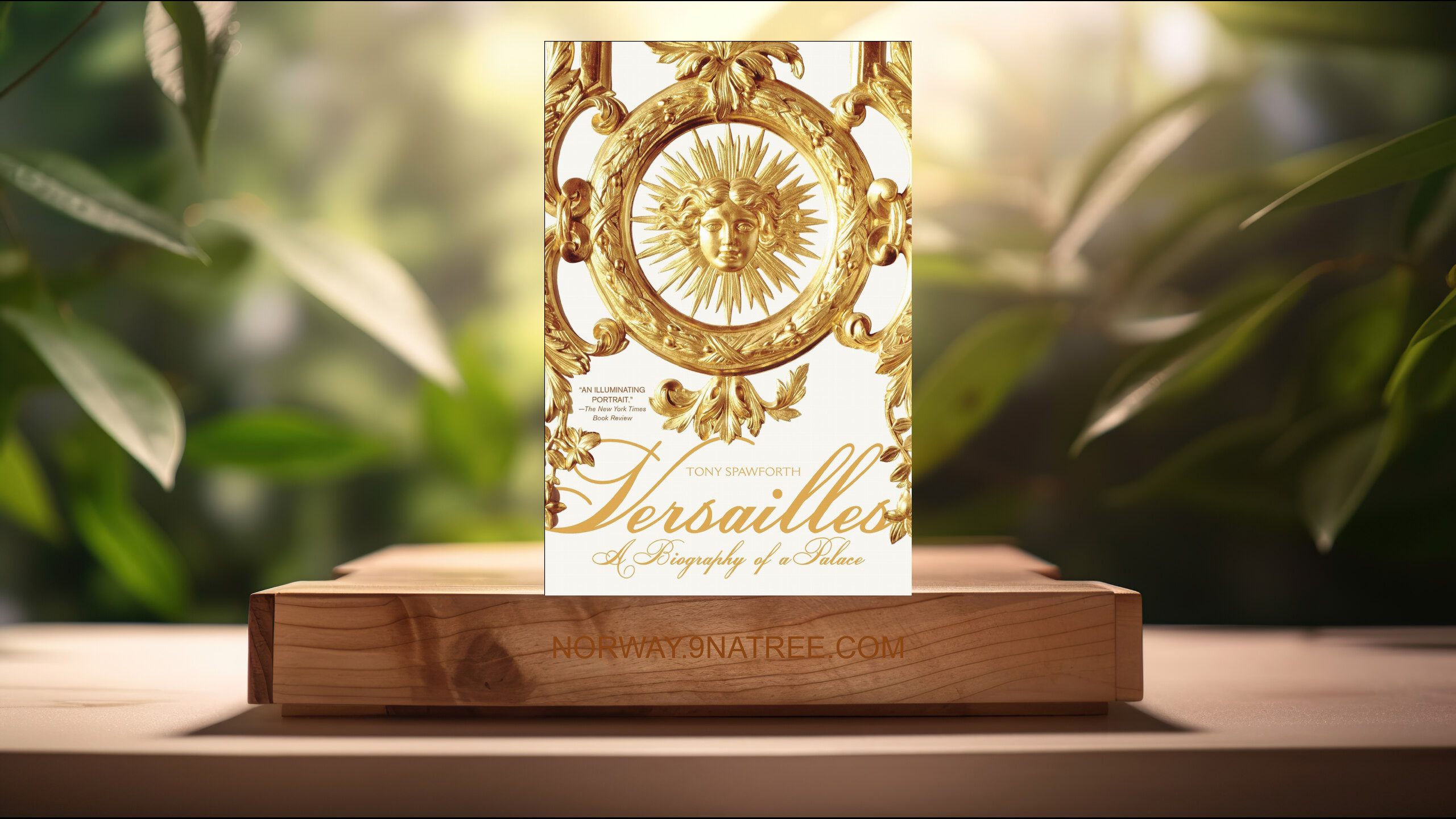 [Anmeldelse] Versailles: A Biography of a Palace  (Tony Spawforth) Oppsummert.