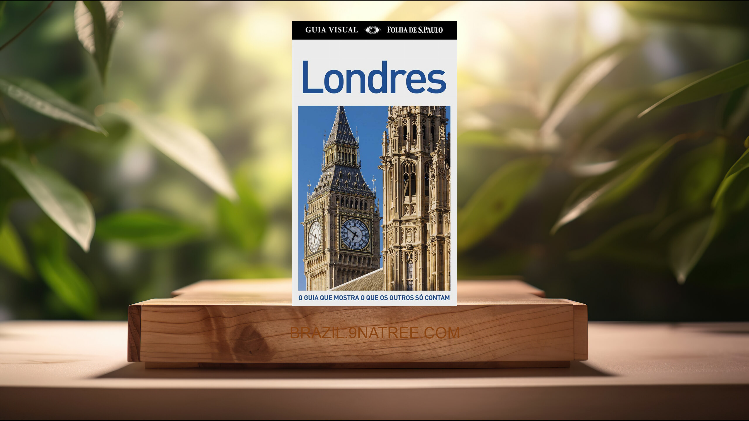 [Análises] Londres. Guia Visual  (Vários Autores) Resumidos.