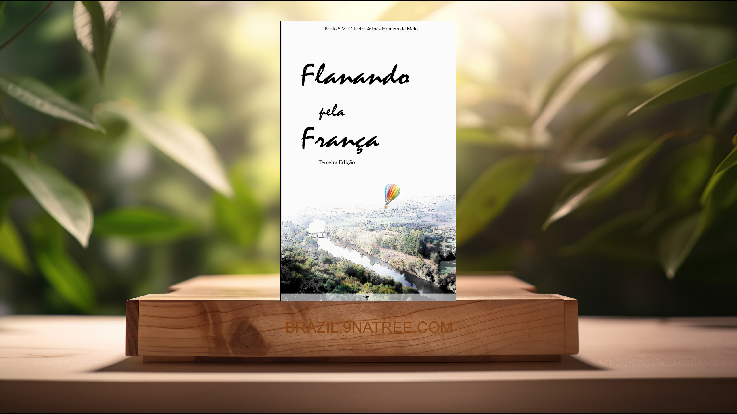 [Análises] Flanando pela França (Paulo Oliveira) Resumidos.