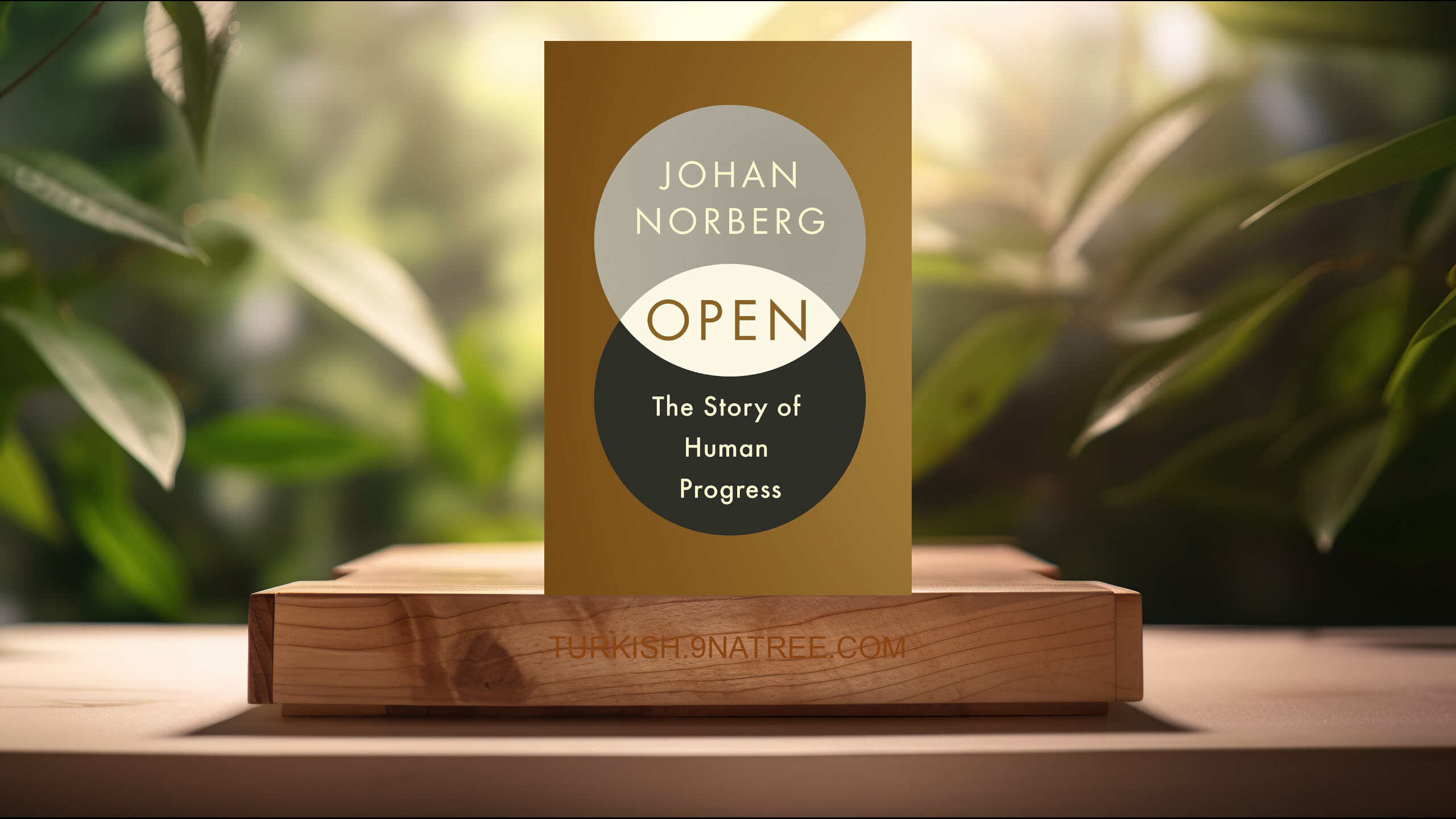 [İncelemesi] Open: The Story of Human Progress (Johan Norberg) Özeti.