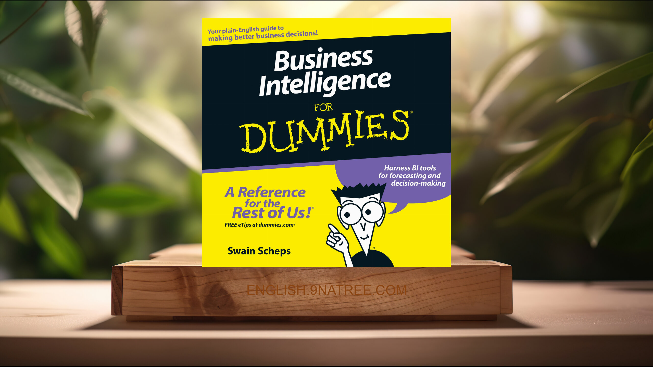 [Review] Business Intelligence for Dummies (Swain Scheps) Summarized.