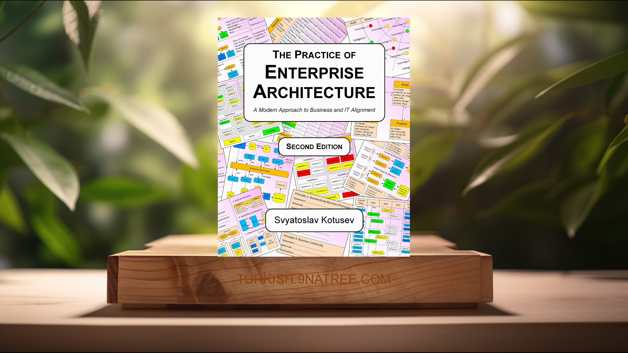 [İncelemesi] The Practice of Enterprise Architecture (Svyatoslav Kotusev) Özeti.