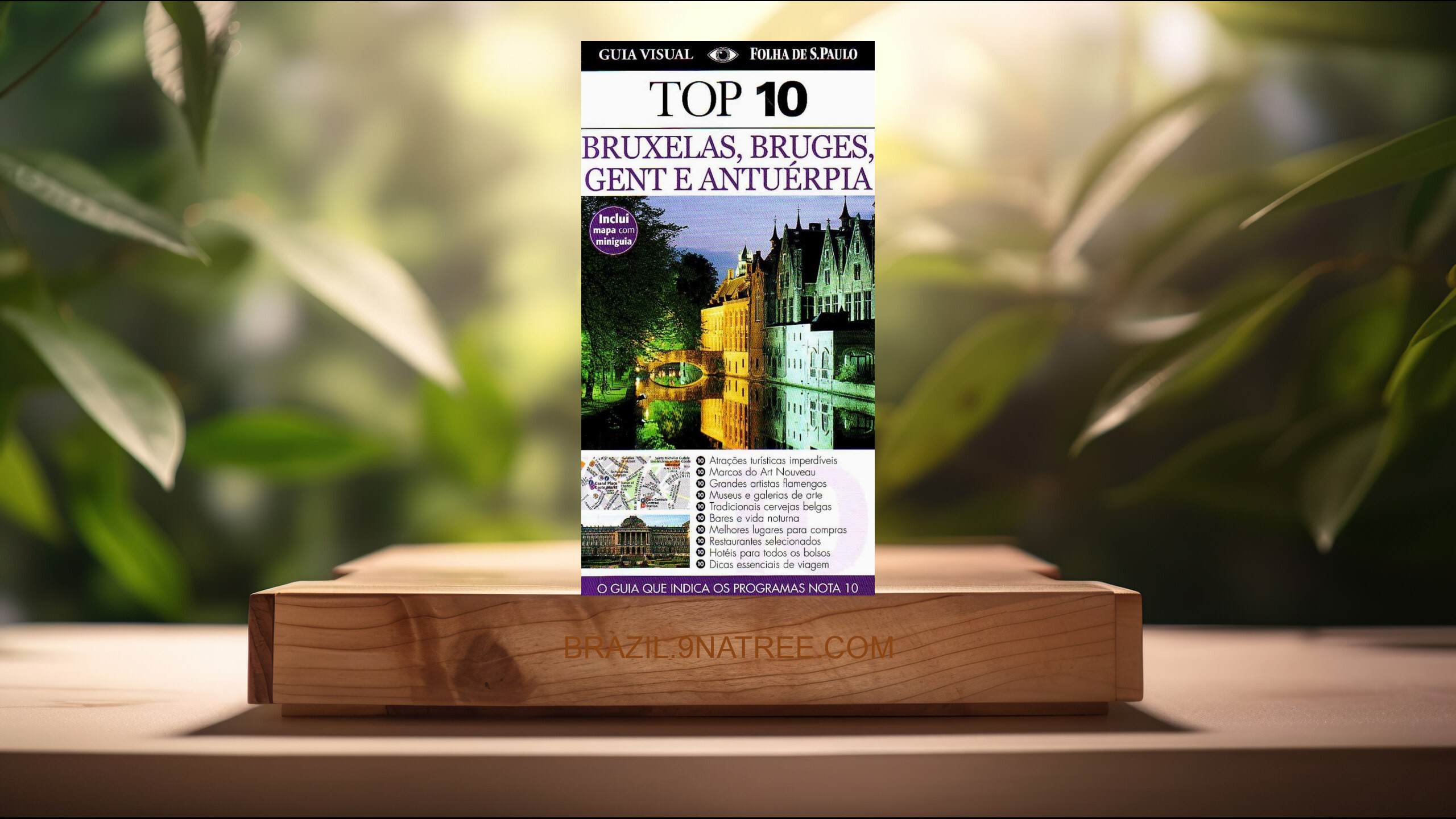 [Análises] Bruxelas. Guia Top 10 (Vários Autores) Resumidos.