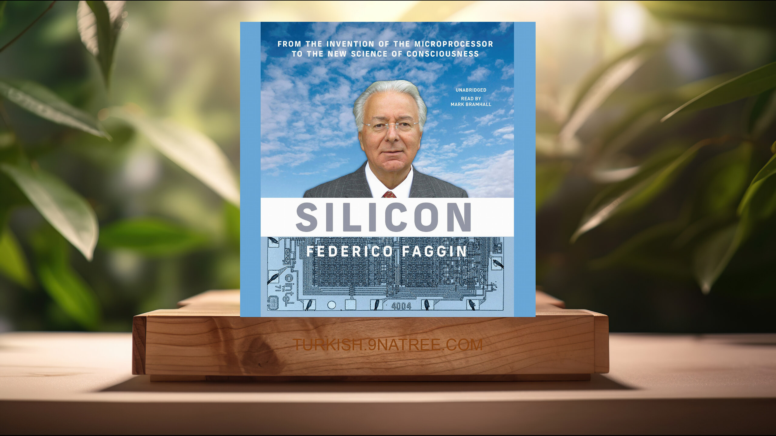 [İncelemesi] Silicon (Federico Faggin) Özeti.