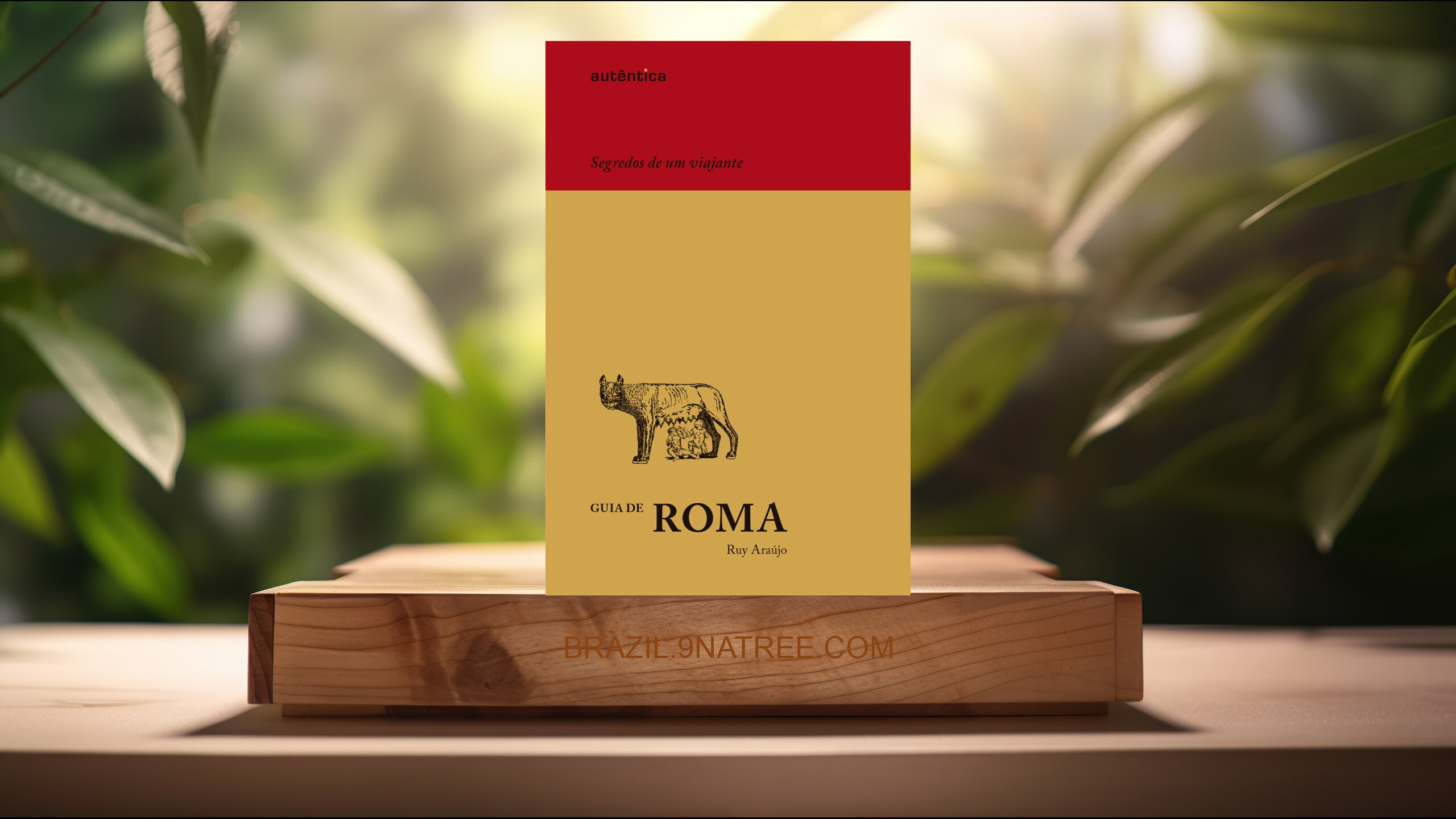 [Análises] Guia de Roma – Segredos de um viajante  (Ruy Araújo) Resumidos.