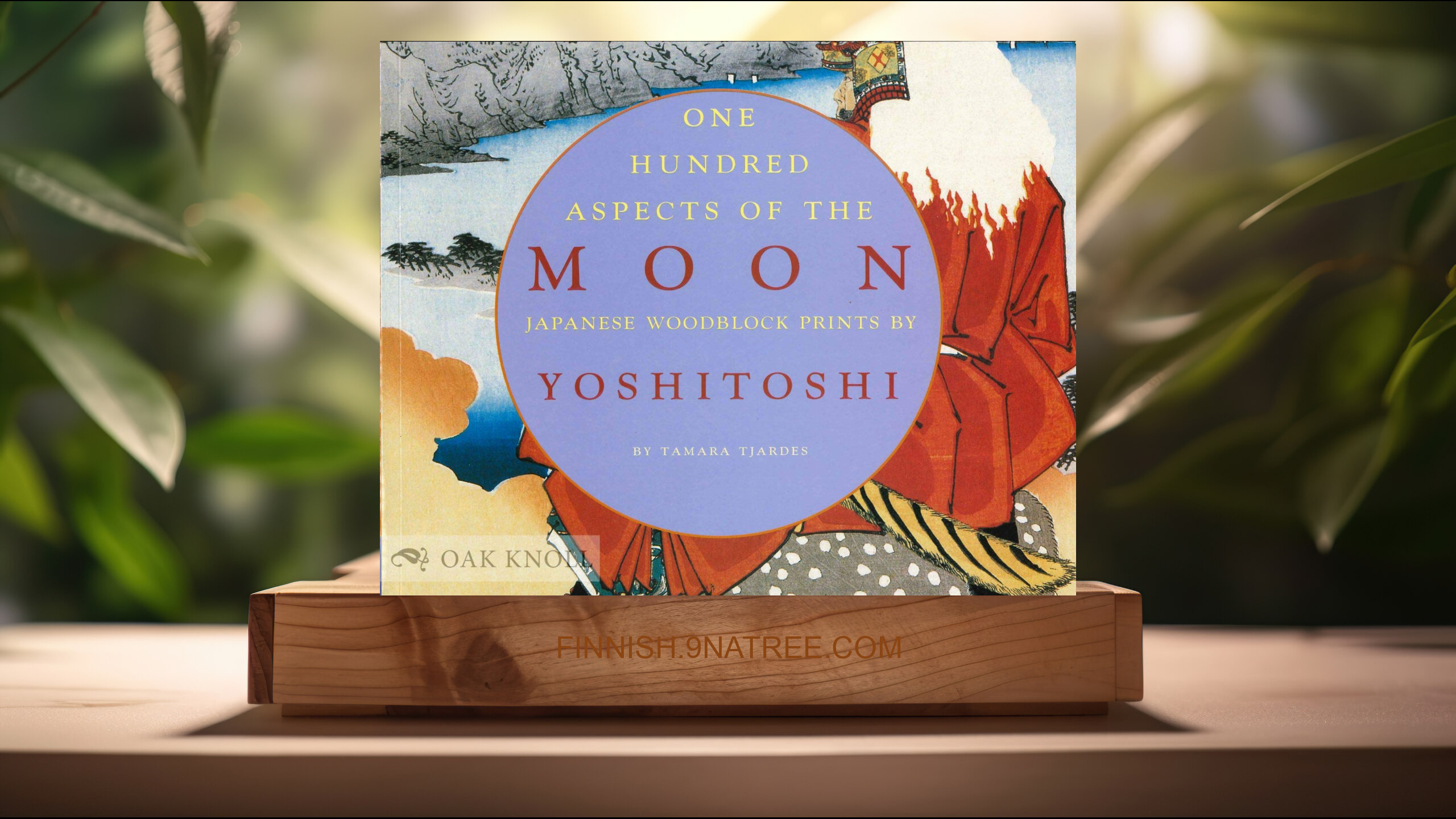 [Arvostelu] One Hundred Aspects of the Moon (Tamara Tjardes) Tiivistetty.