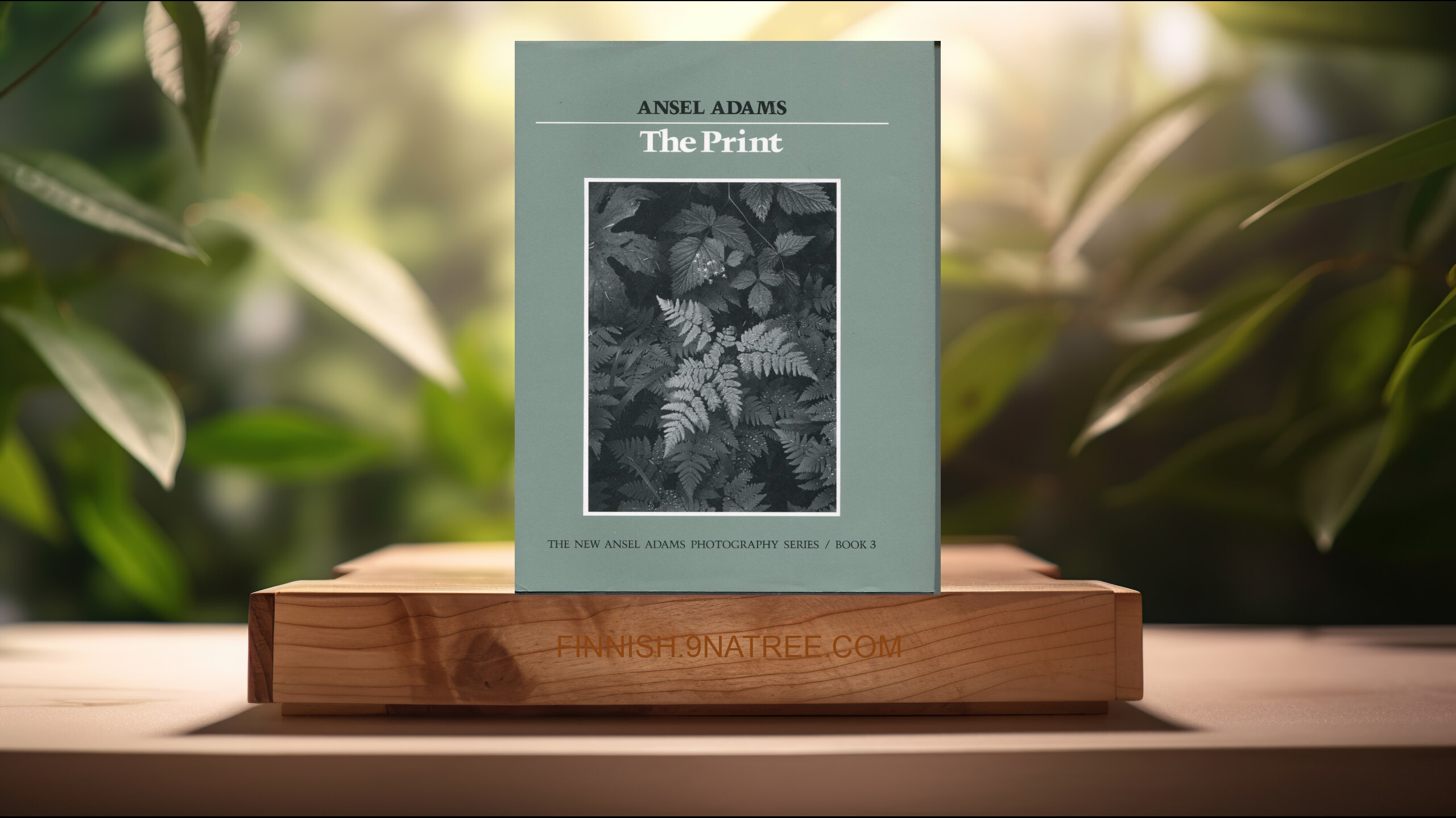 [Arvostelu] The Print  (Ansel Adams) Tiivistetty.