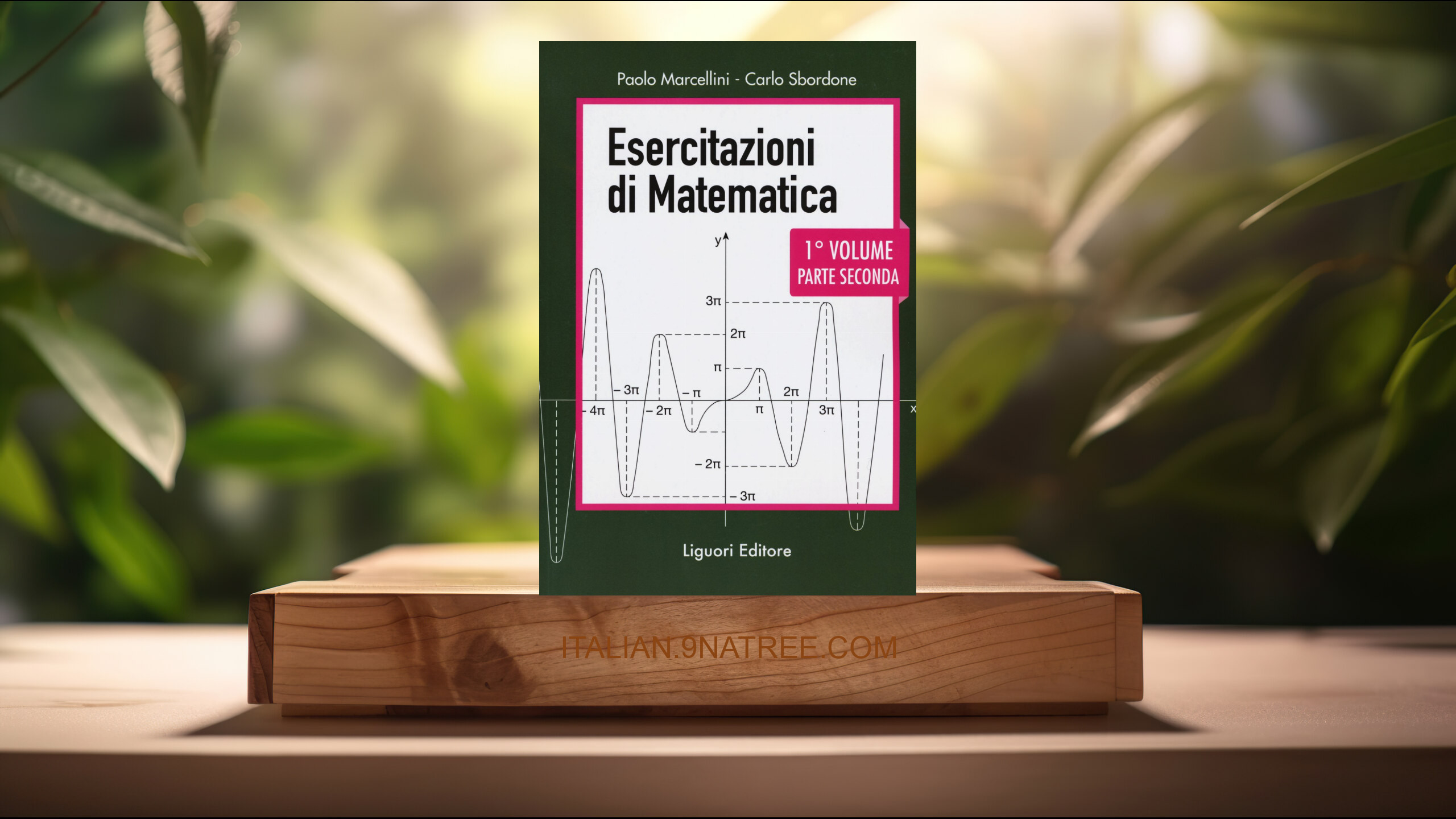 [Recensione] Esercitazioni di matematica  (Paolo Marcellini) Riassunto.