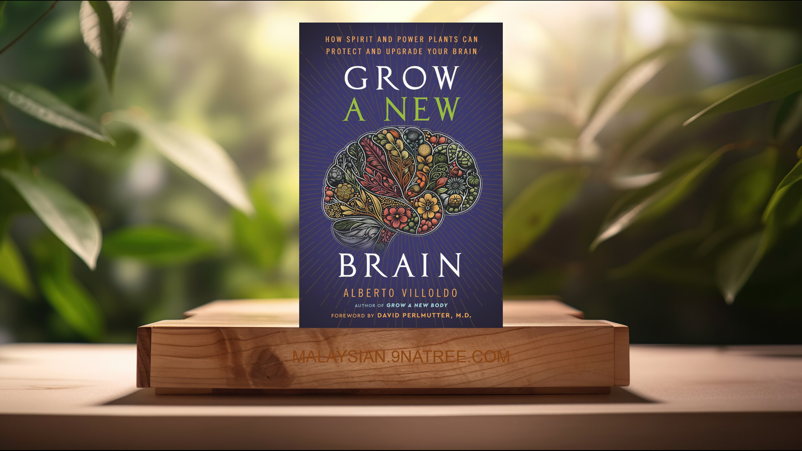 [Ulasan] Grow a New Brain (Dr. Alberto Villoldo) Diringkaskan.