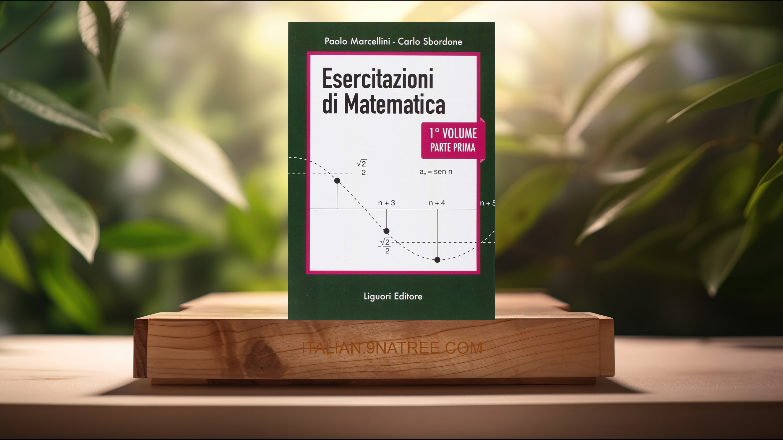 [Recensione] Esercitazioni di matematica  (Paolo Marcellini) Riassunto.