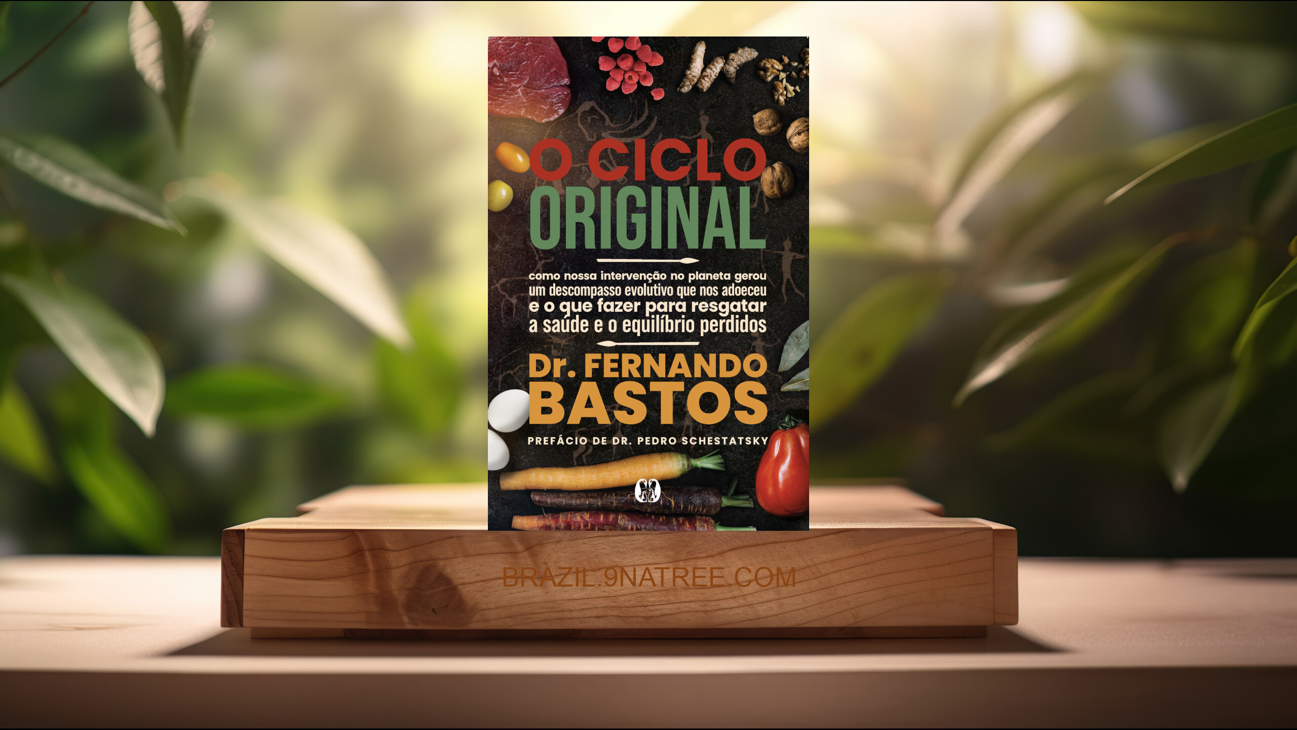 [Análises] O ciclo original (Dr. Fernando Bastos) Resumidos.