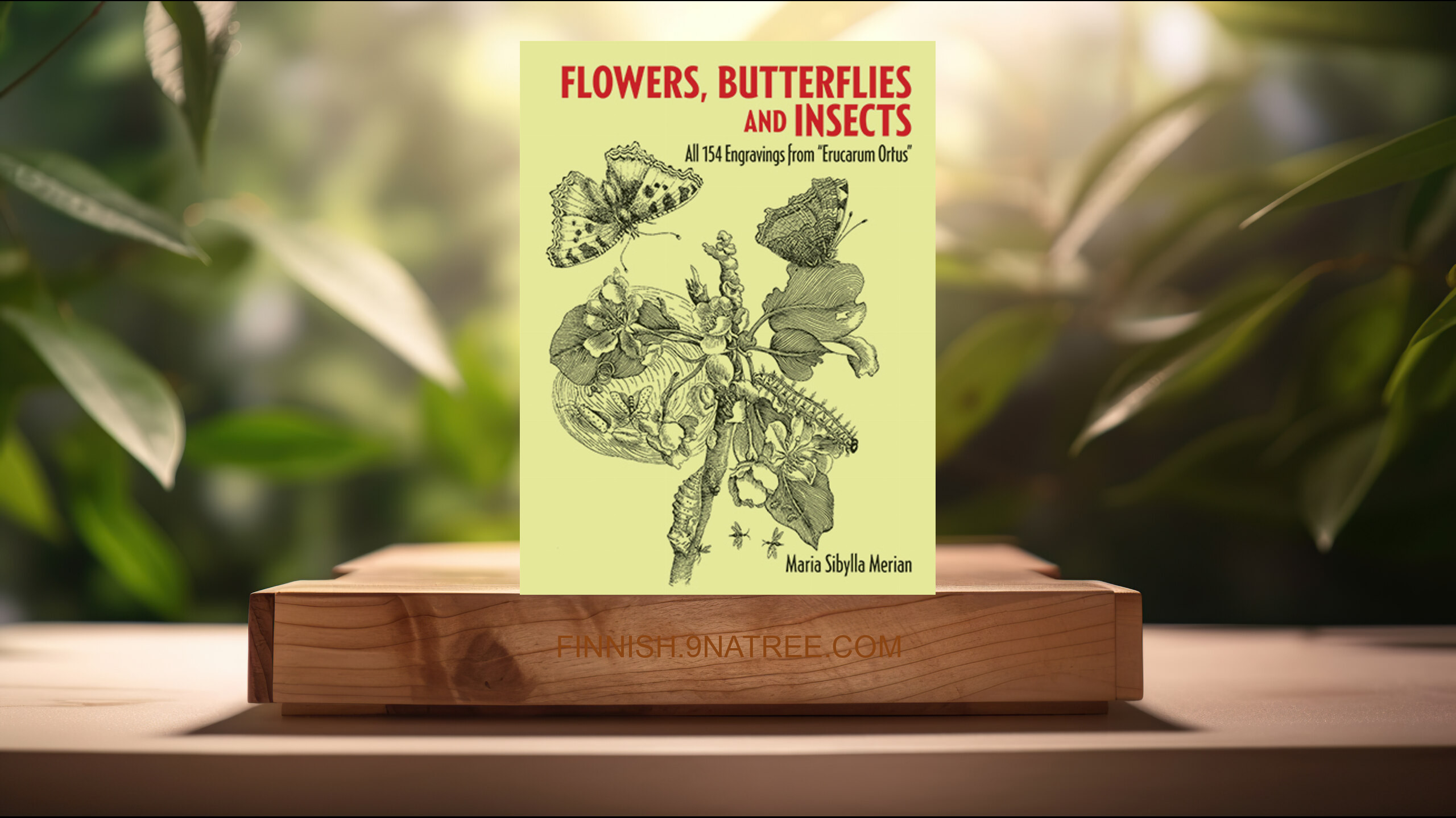 [Arvostelu] Flowers, Butterflies and Insects (Maria Sibylla Merian) Tiivistetty.