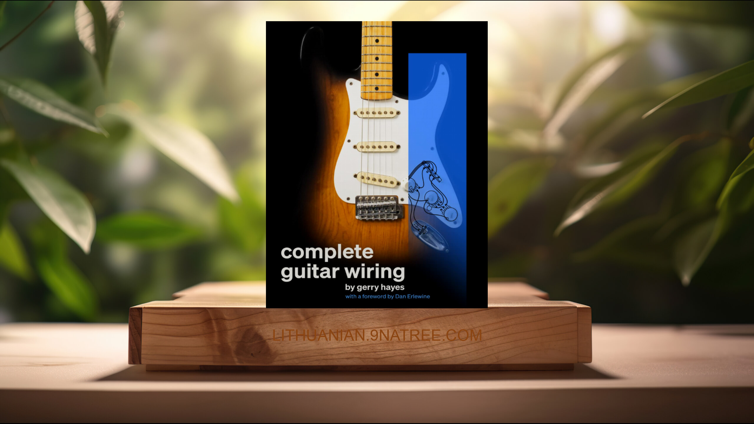 [Apžvalga] Complete Guitar Wiring (Gerry Hayes) Apibendrinta.