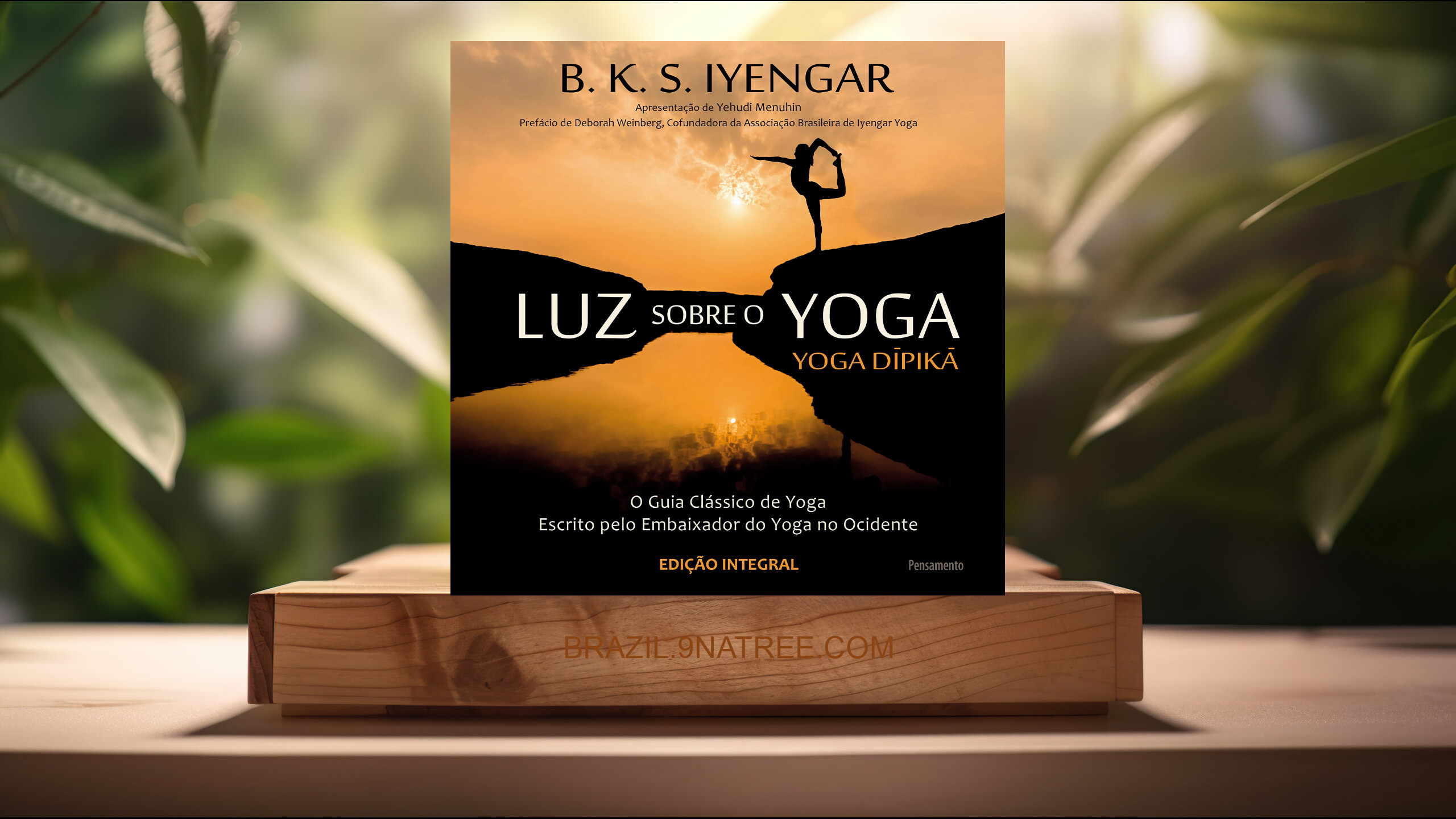 [Análises] Luz Sobre o Yoga: o Guia Clássico de Yoga (B. K. S. Iyengar) Resumidos.
