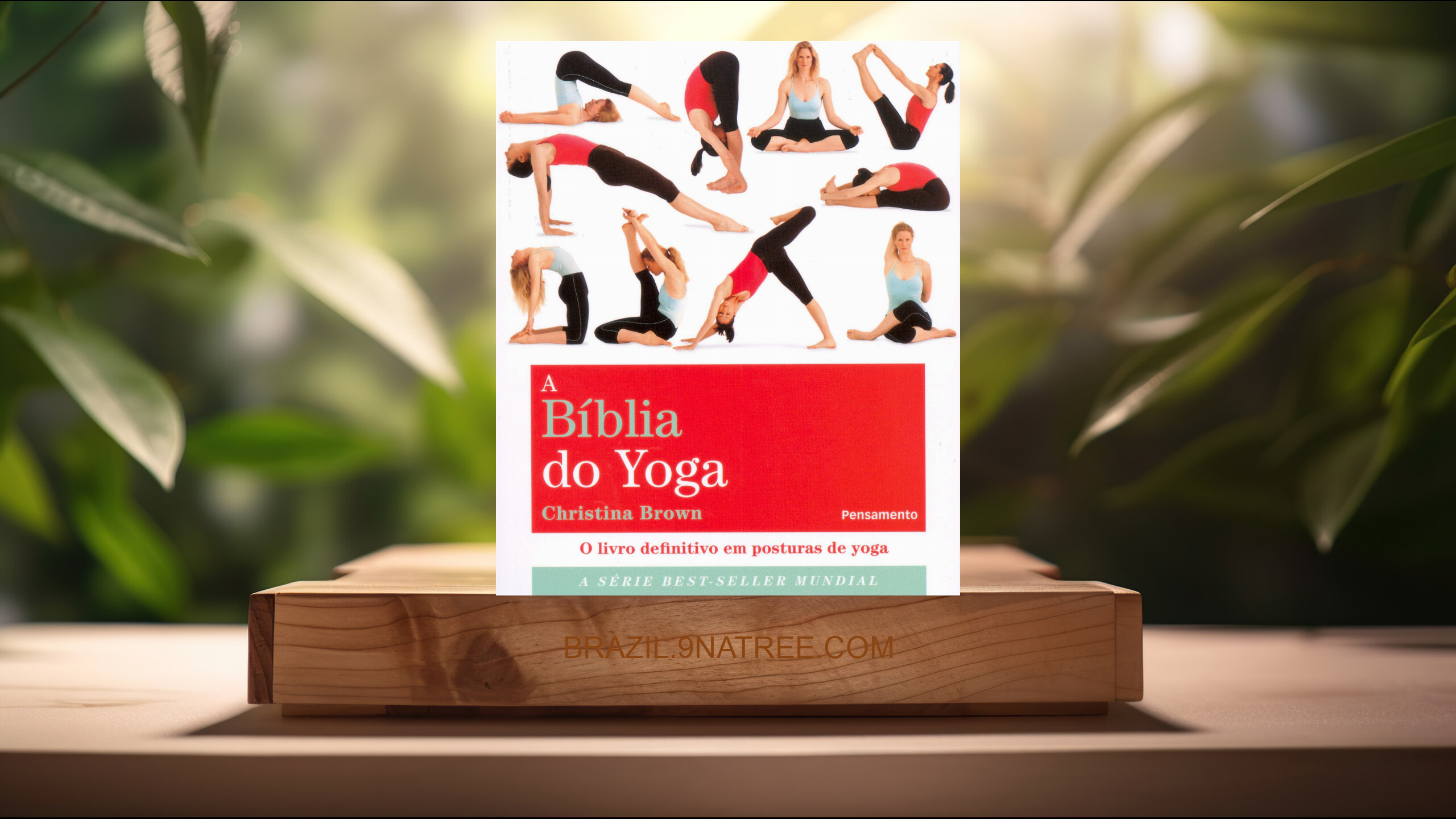 [Análises] A bíblia do yoga: o livro definitivo em posturas de yoga (Christina Brown) Resumidos.