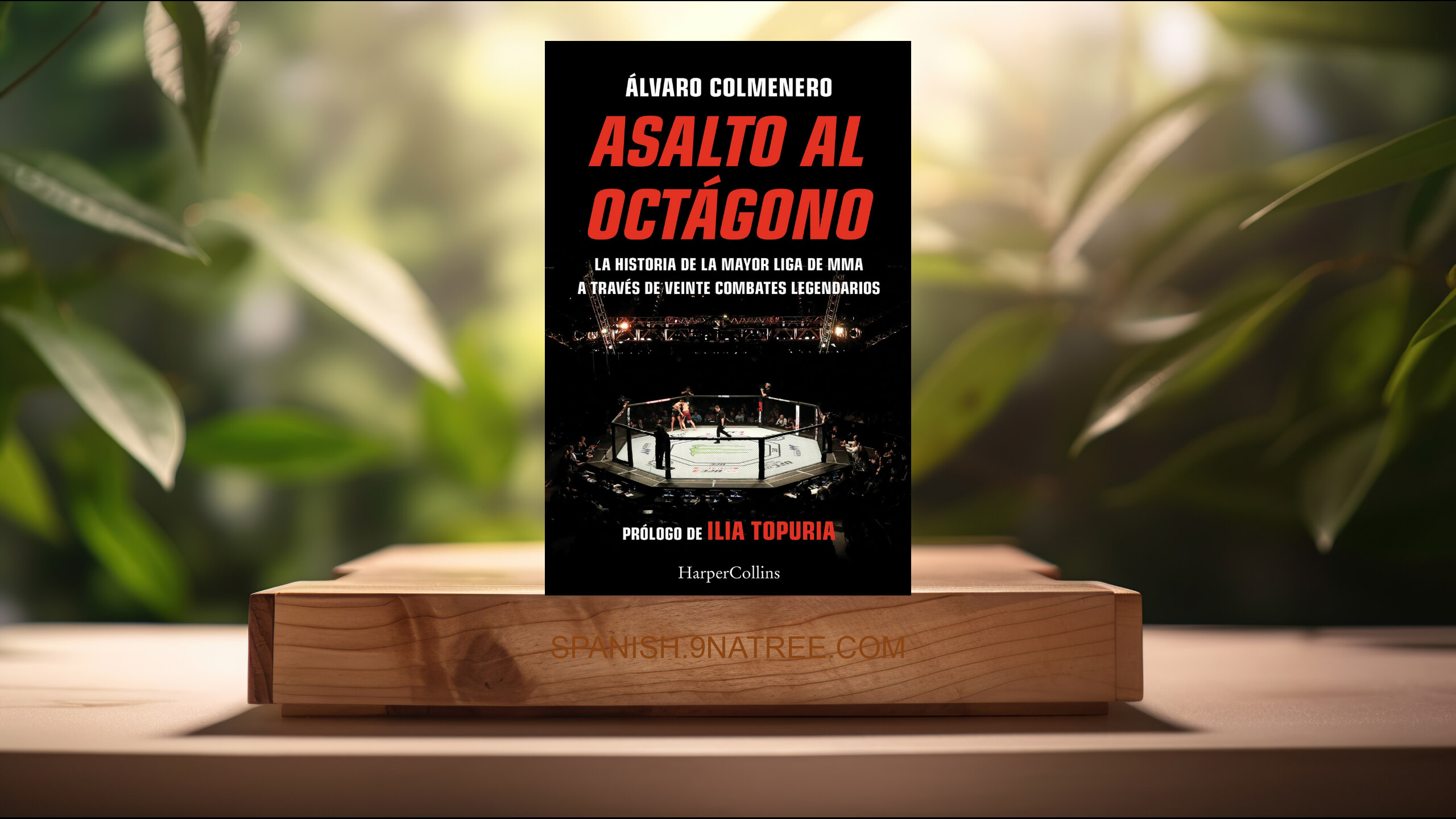 [Reseña] Asalto al octágono (Álvaro Colmenero) Resumida.