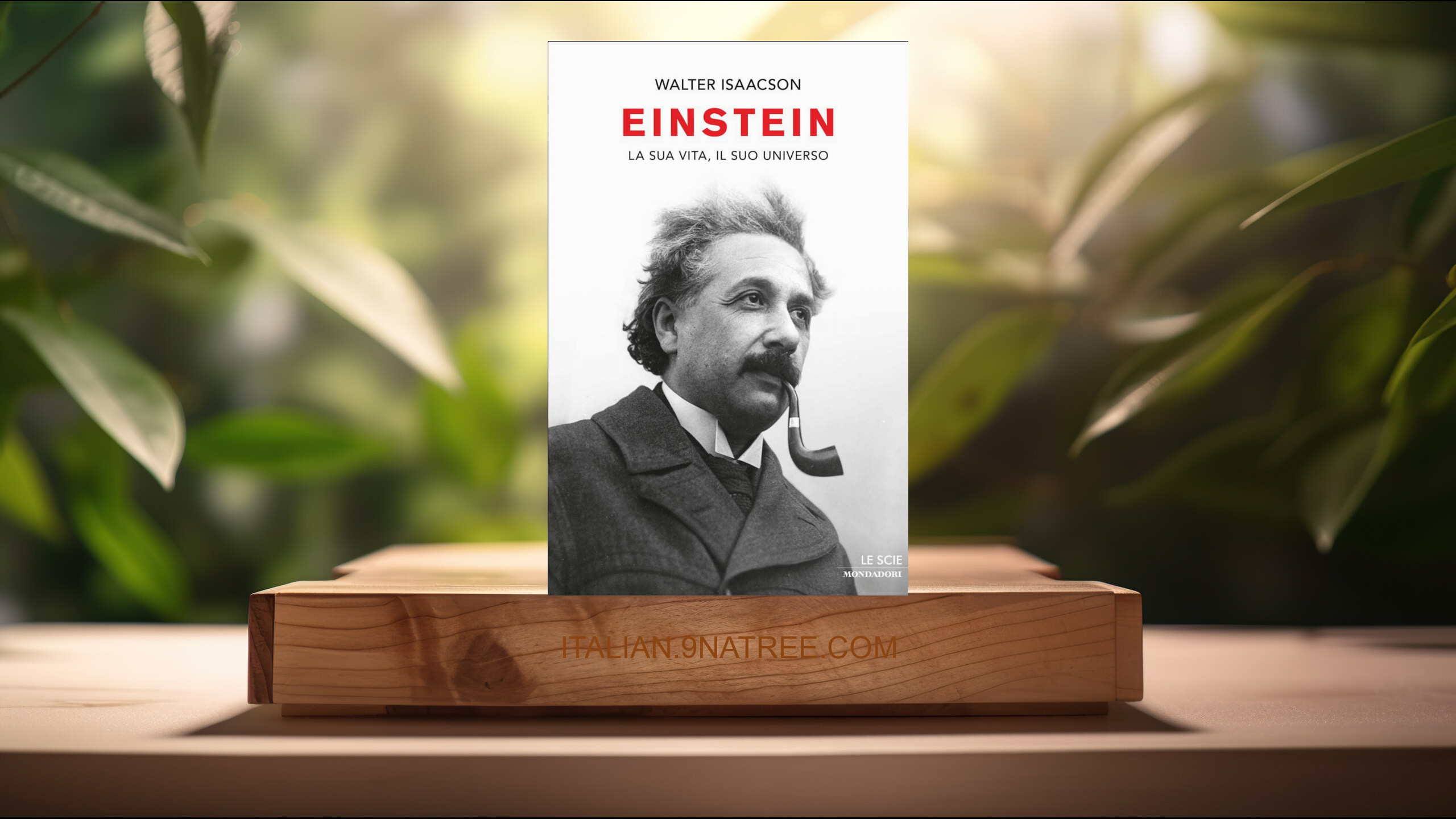 [Recensione] Einstein: La sua vita, il suo universo  (Walter Isaacson) Riassunto.