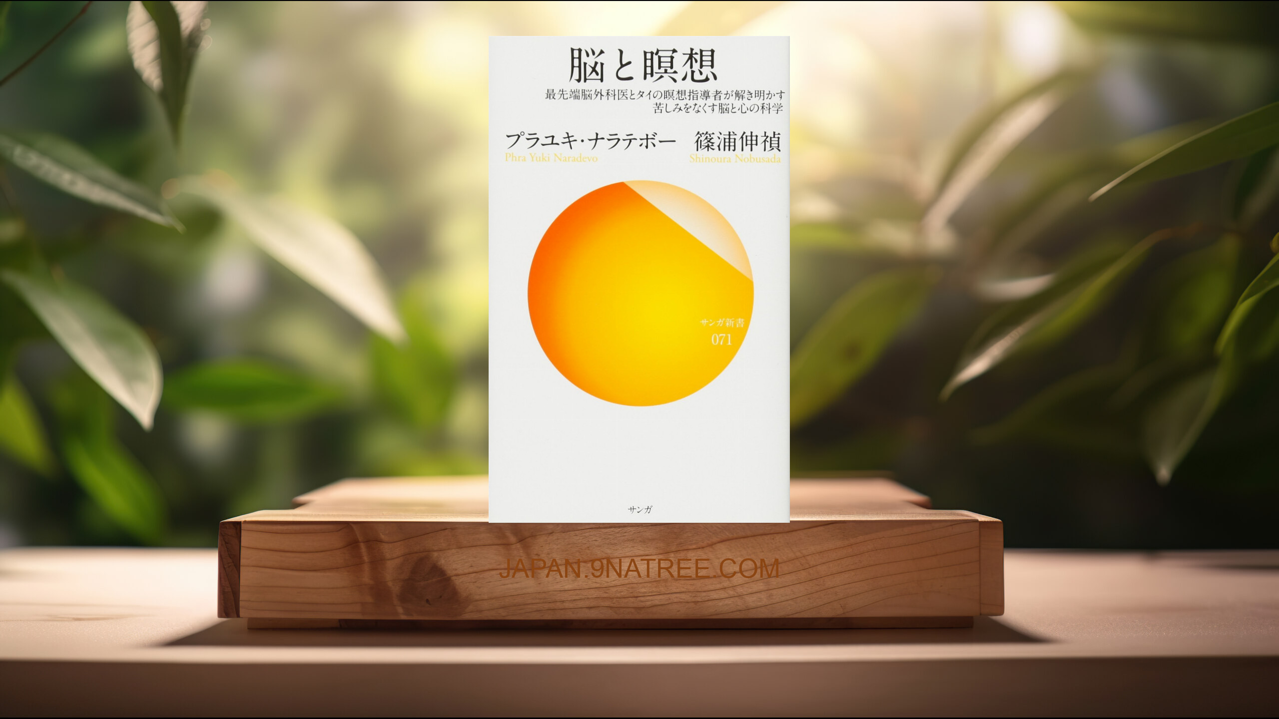 [レビュー] 脳と瞑想 最先端脳外科医とタイの瞑想指導者が解き明かす苦しみをなくす脳と心の科学  (プラユキ・ナラテボー) 要約した.
